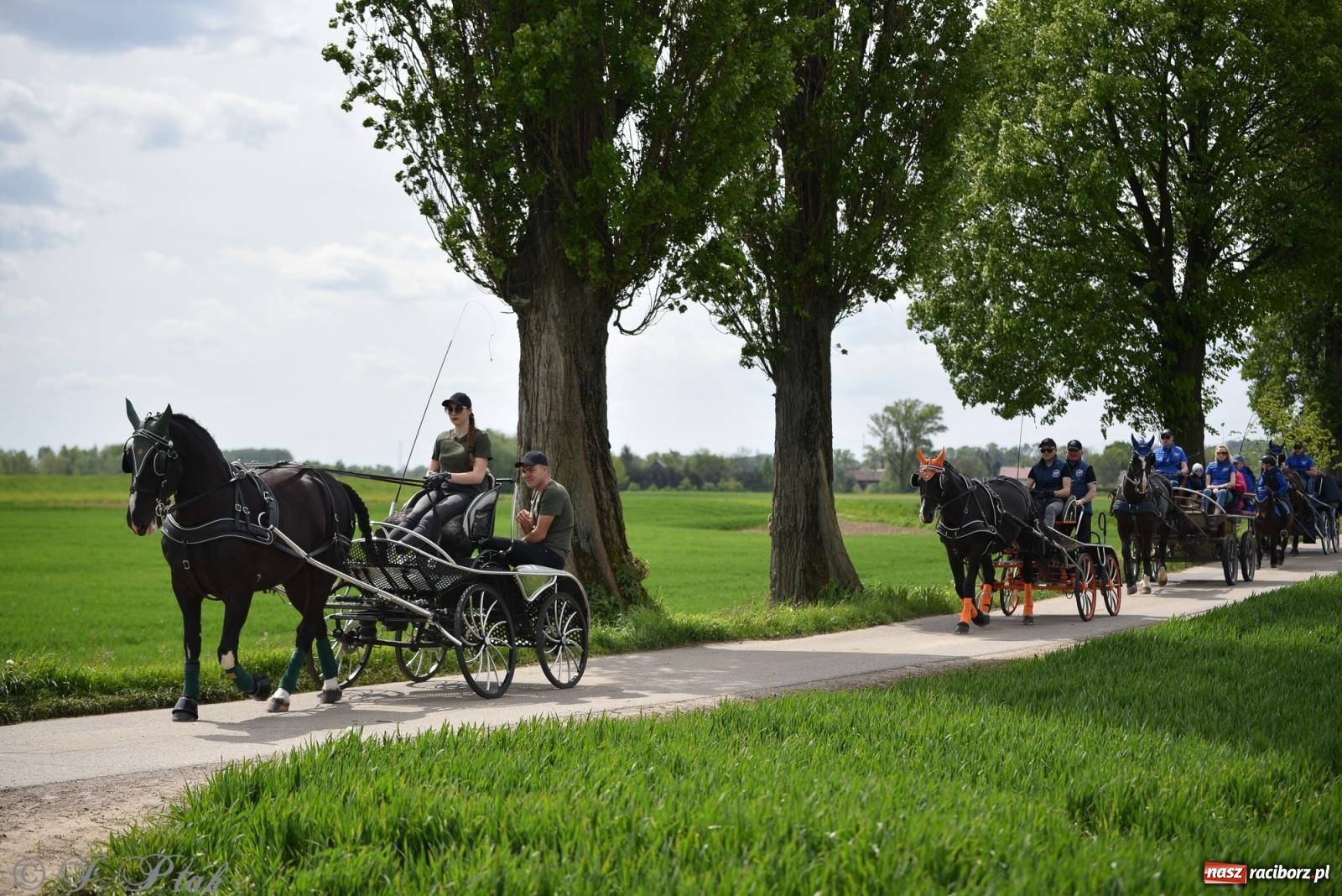 Zdjęcie w galerii na portalu naszraciborz.pl: Łubowicka procesja konna na bis! [FOTO i WIDEO] wiadomości z regionu