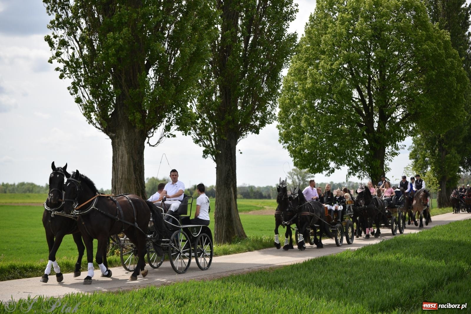 Zdjęcie w galerii na portalu naszraciborz.pl: Łubowicka procesja konna na bis! [FOTO i WIDEO] wiadomości z regionu
