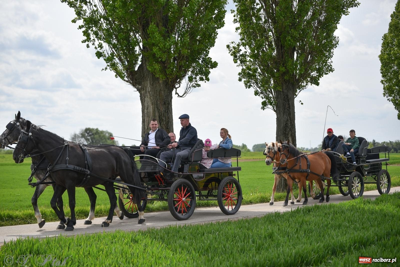 Zdjęcie w galerii na portalu naszraciborz.pl: Łubowicka procesja konna na bis! [FOTO i WIDEO] wiadomości z regionu