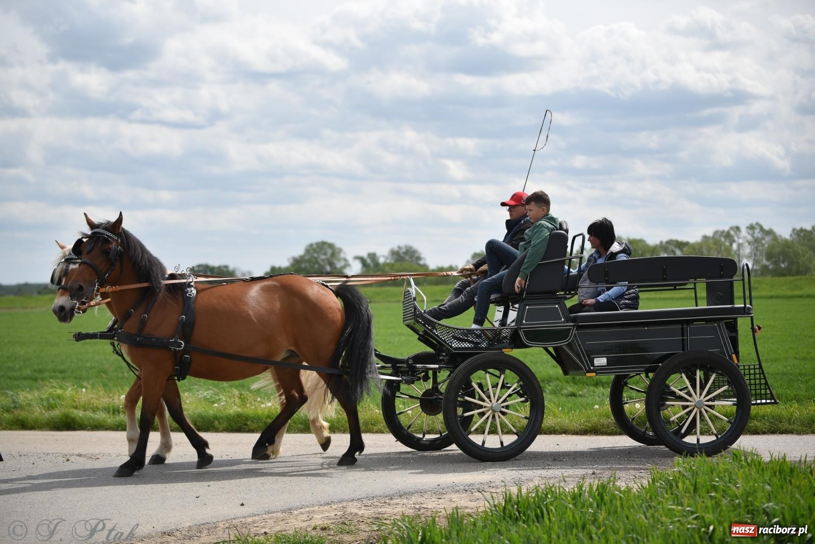 Zdjęcie w galerii na portalu naszraciborz.pl: Łubowicka procesja konna na bis! [FOTO i WIDEO] wiadomości z regionu