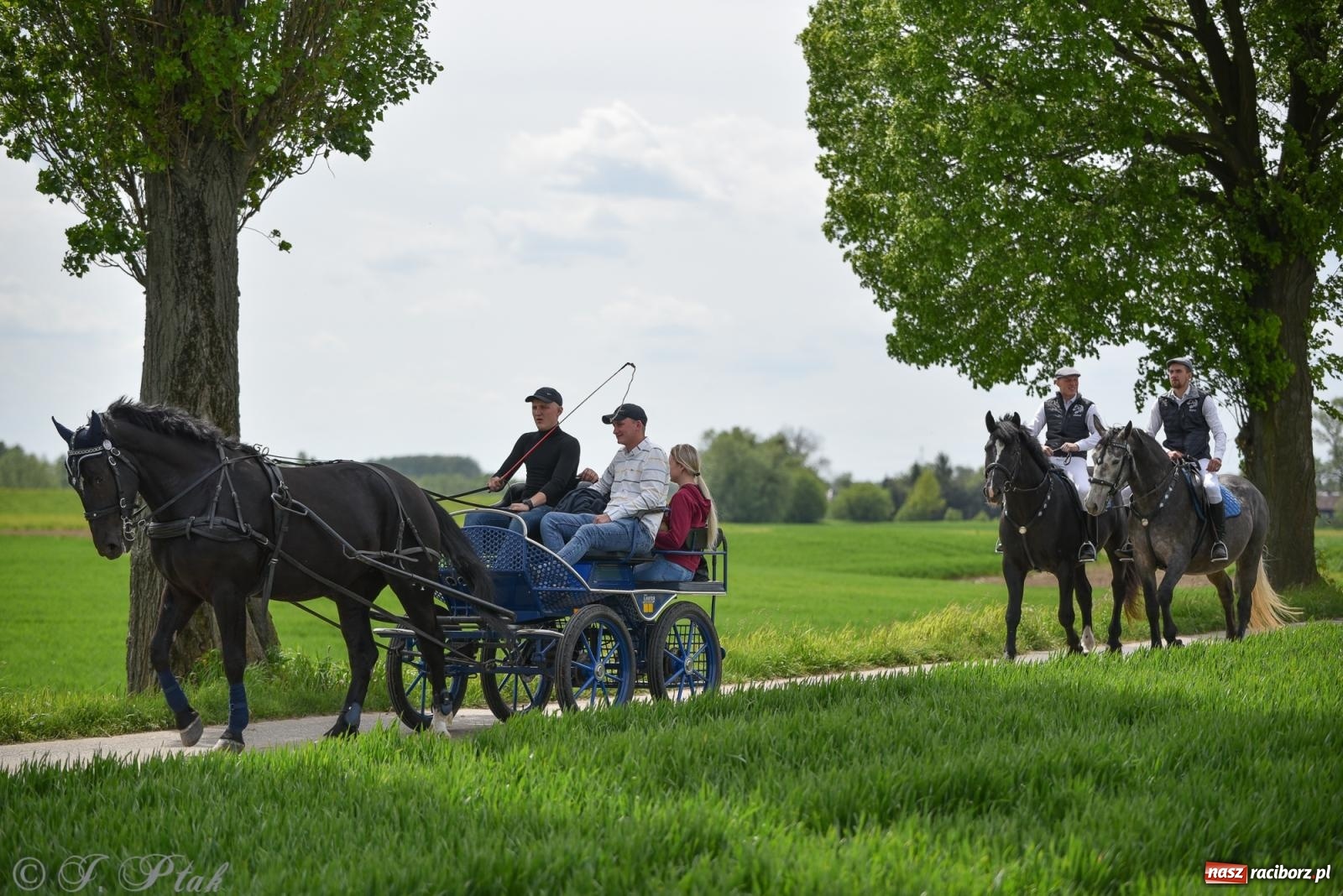 Zdjęcie w galerii na portalu naszraciborz.pl: Łubowicka procesja konna na bis! [FOTO i WIDEO] wiadomości z regionu