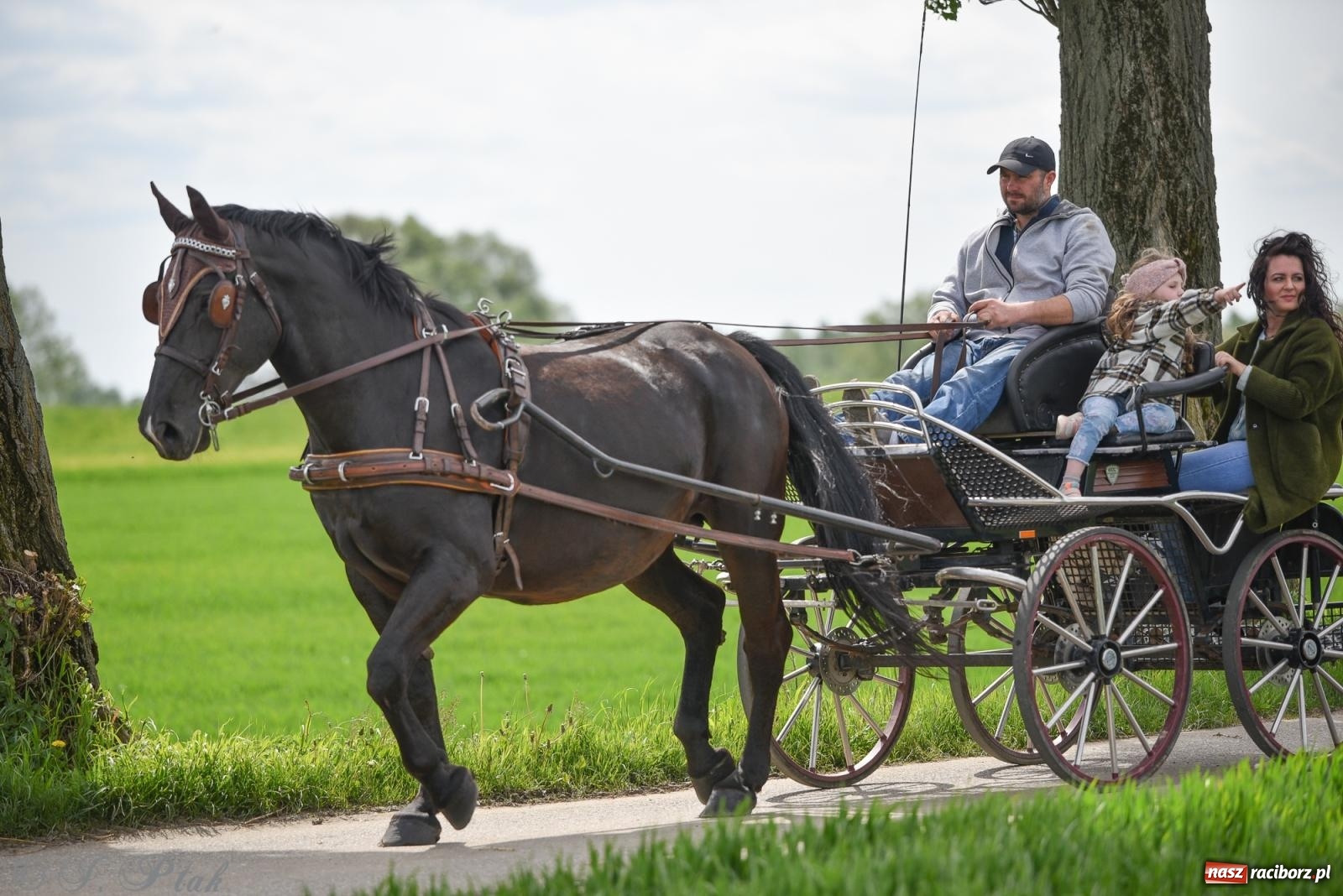 Zdjęcie w galerii na portalu naszraciborz.pl: Łubowicka procesja konna na bis! [FOTO i WIDEO] wiadomości z regionu