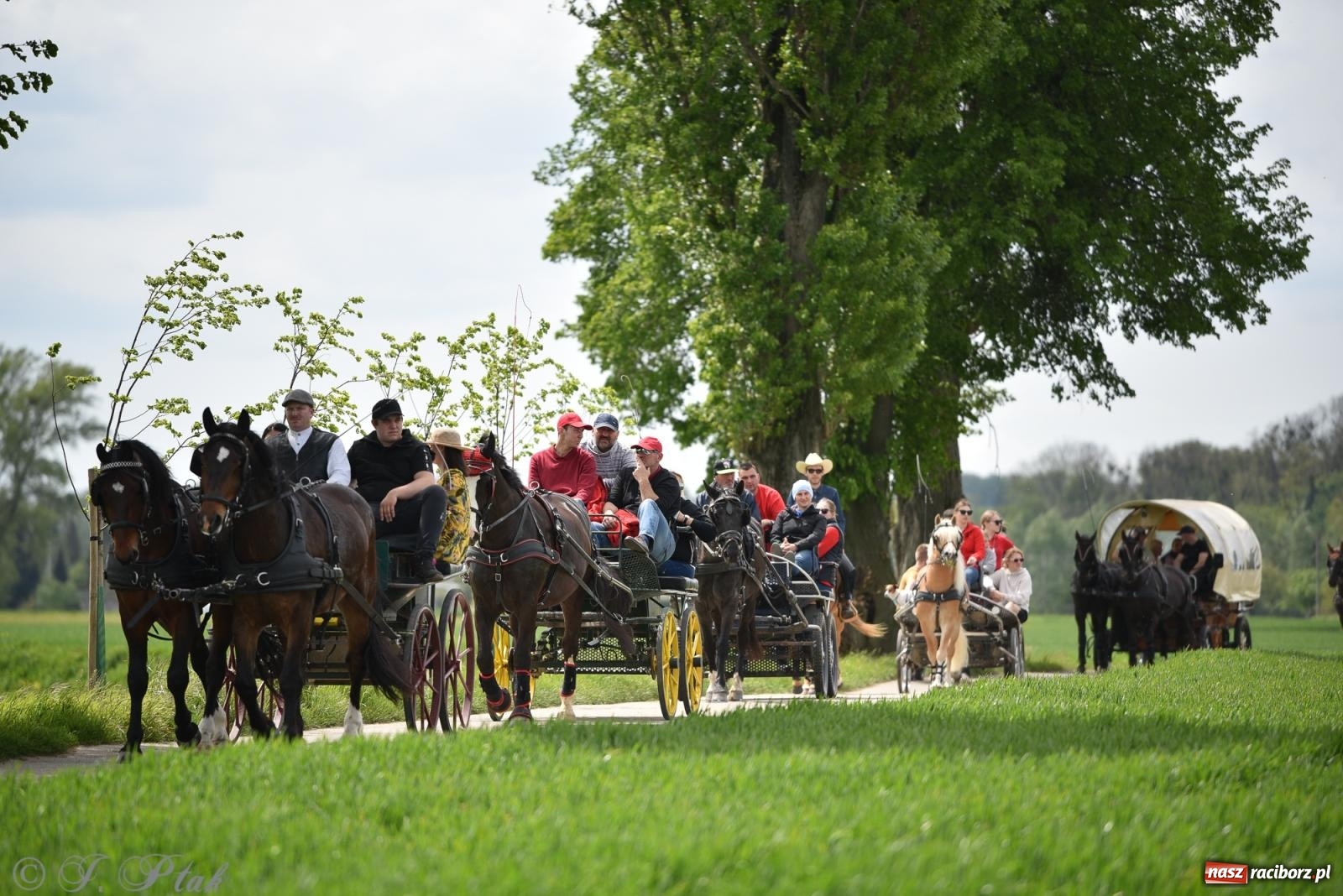 Zdjęcie w galerii na portalu naszraciborz.pl: Łubowicka procesja konna na bis! [FOTO i WIDEO] wiadomości z regionu