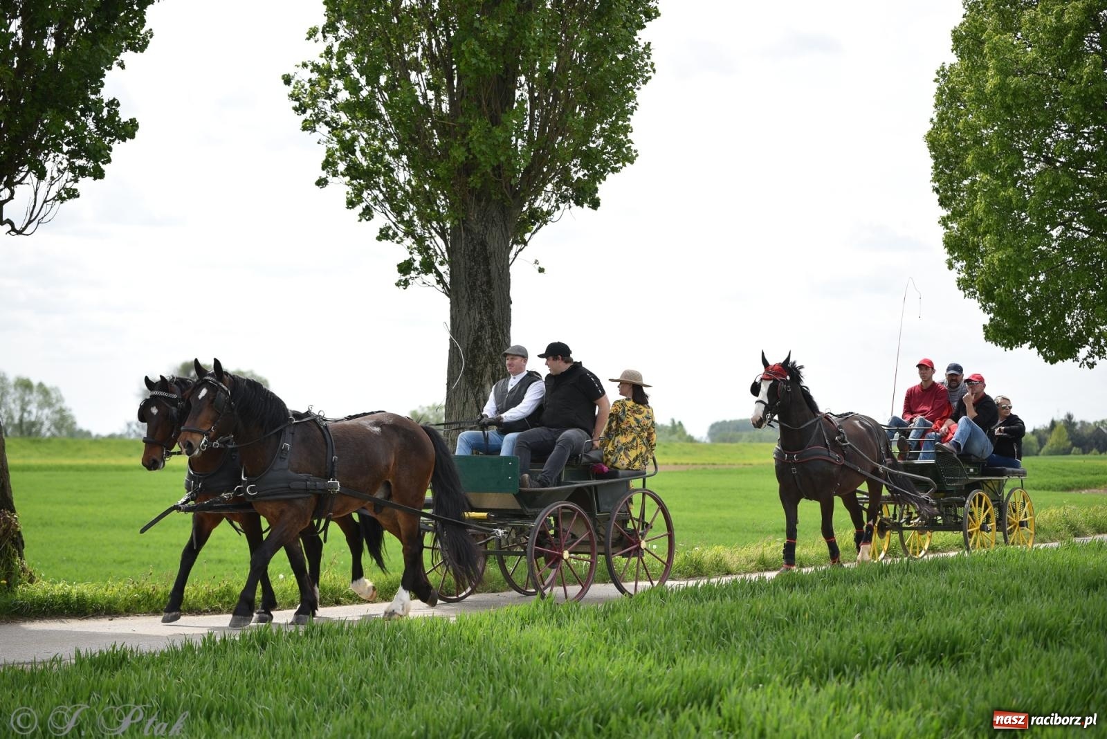 Zdjęcie w galerii na portalu naszraciborz.pl: Łubowicka procesja konna na bis! [FOTO i WIDEO] wiadomości z regionu