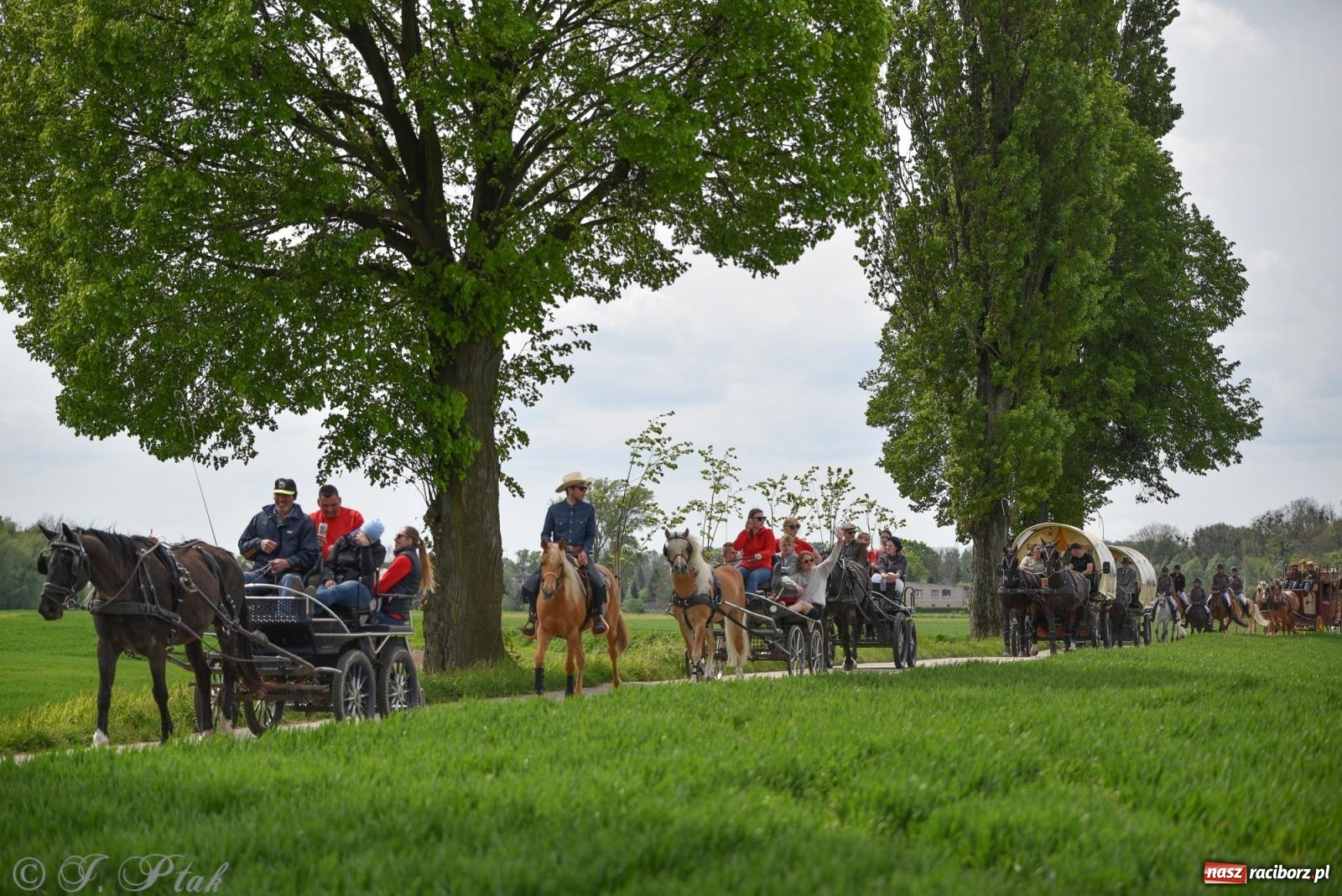 Zdjęcie w galerii na portalu naszraciborz.pl: Łubowicka procesja konna na bis! [FOTO i WIDEO] wiadomości z regionu