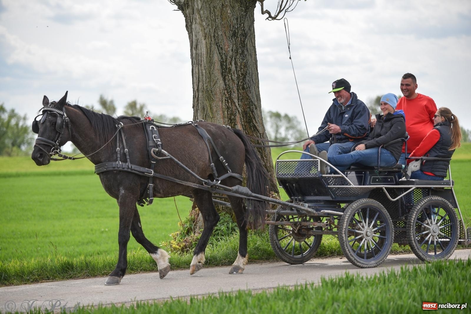Zdjęcie w galerii na portalu naszraciborz.pl: Łubowicka procesja konna na bis! [FOTO i WIDEO] wiadomości z regionu