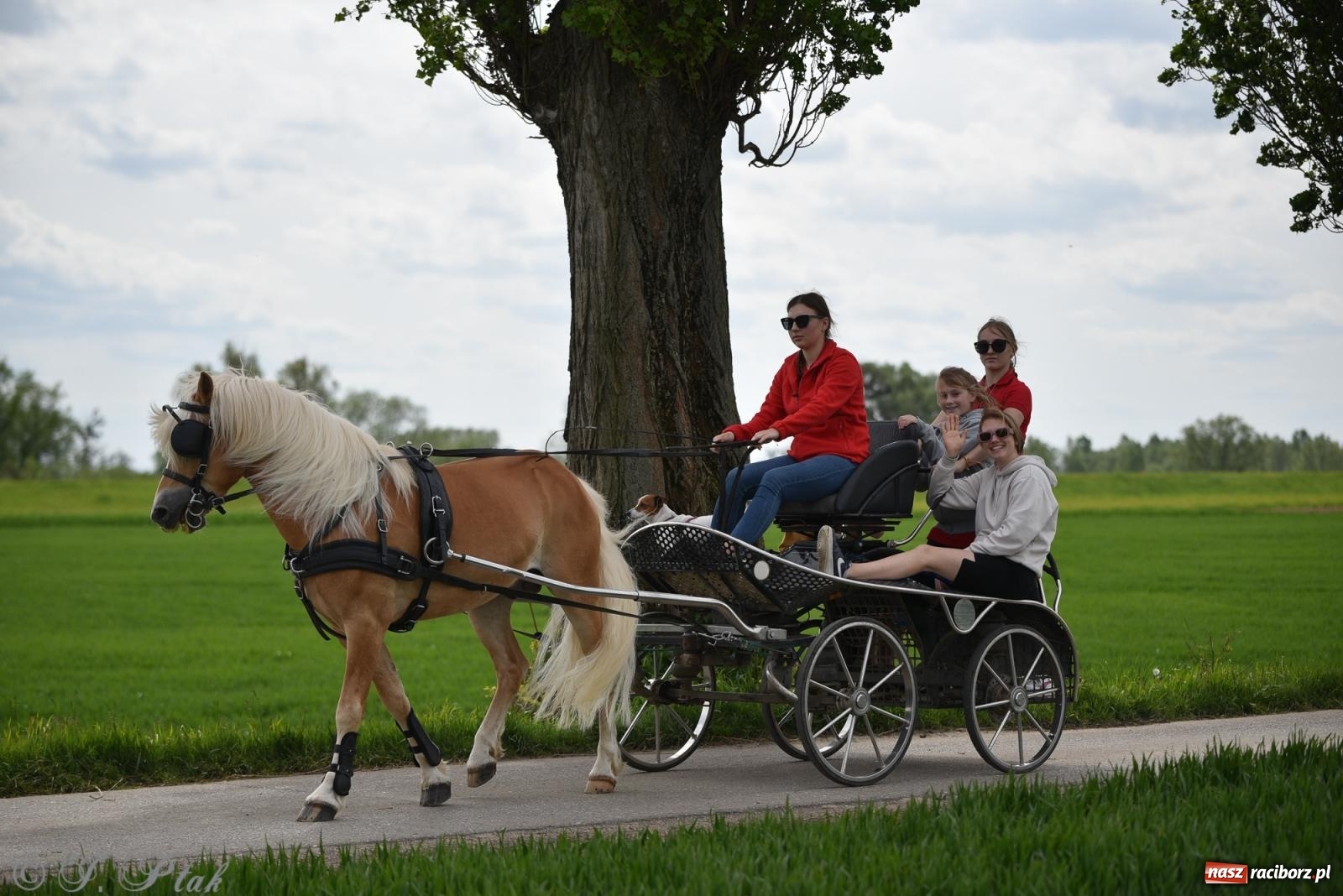 Zdjęcie w galerii na portalu naszraciborz.pl: Łubowicka procesja konna na bis! [FOTO i WIDEO] wiadomości z regionu