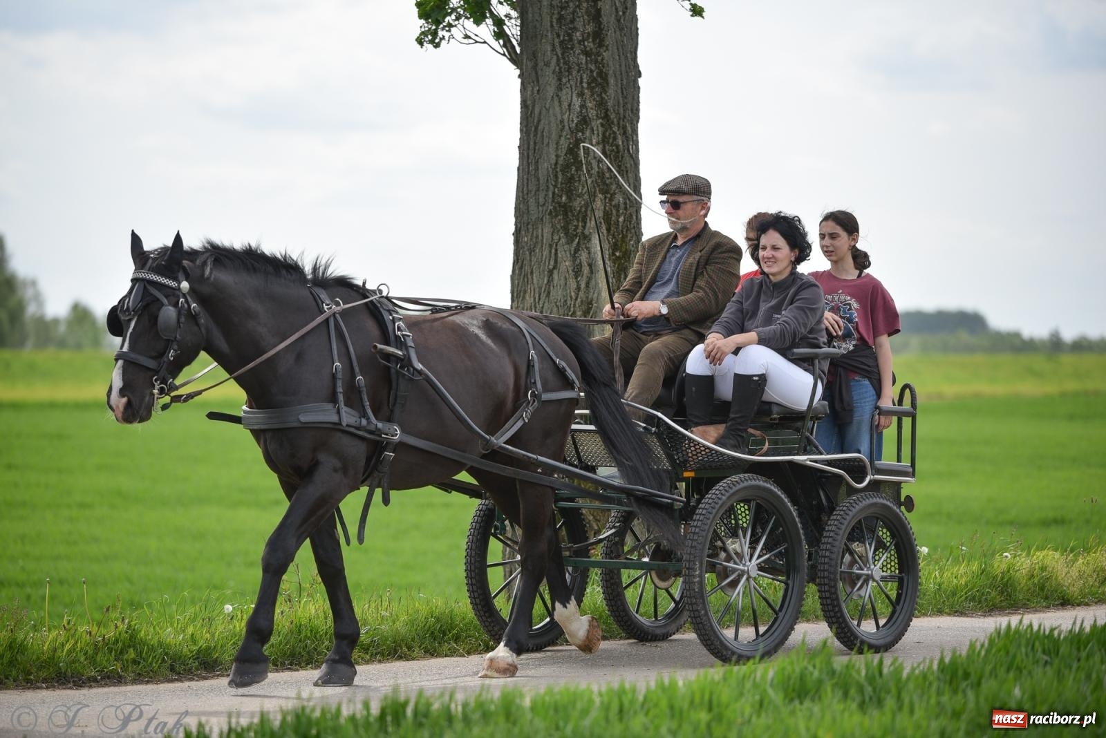 Zdjęcie w galerii na portalu naszraciborz.pl: Łubowicka procesja konna na bis! [FOTO i WIDEO] wiadomości z regionu