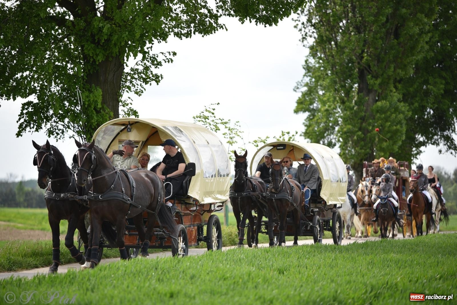 Zdjęcie w galerii na portalu naszraciborz.pl: Łubowicka procesja konna na bis! [FOTO i WIDEO] wiadomości z regionu