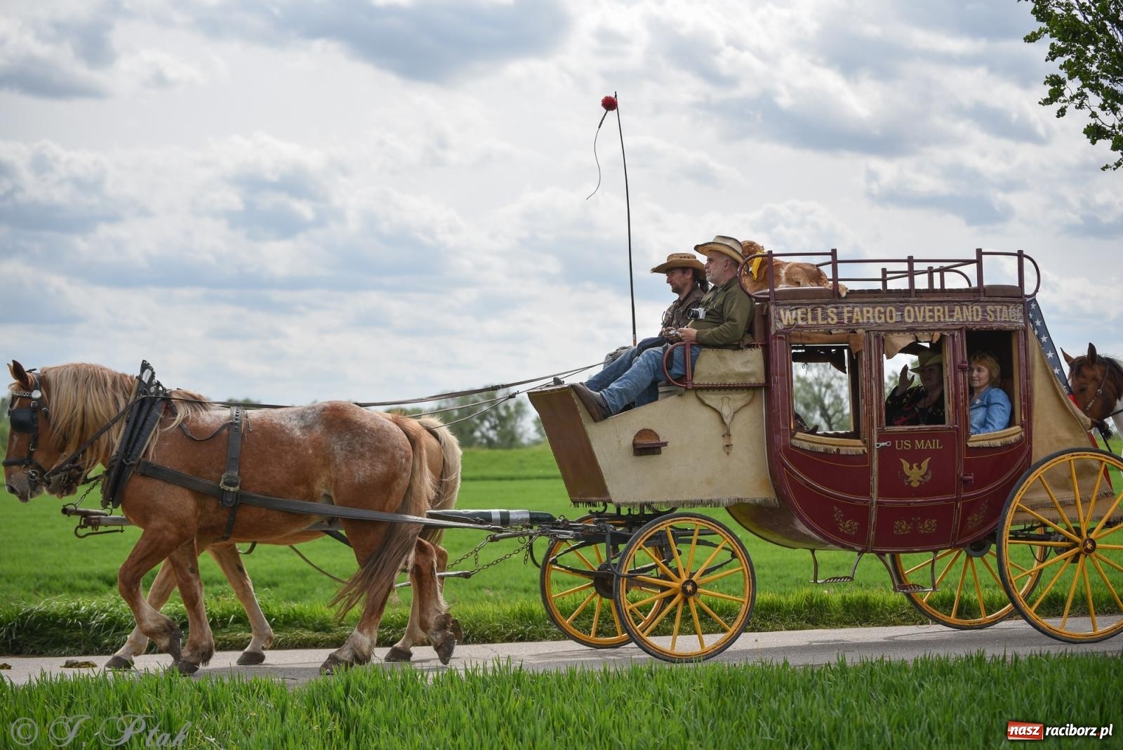 Zdjęcie w galerii na portalu naszraciborz.pl: Łubowicka procesja konna na bis! [FOTO i WIDEO] wiadomości z regionu
