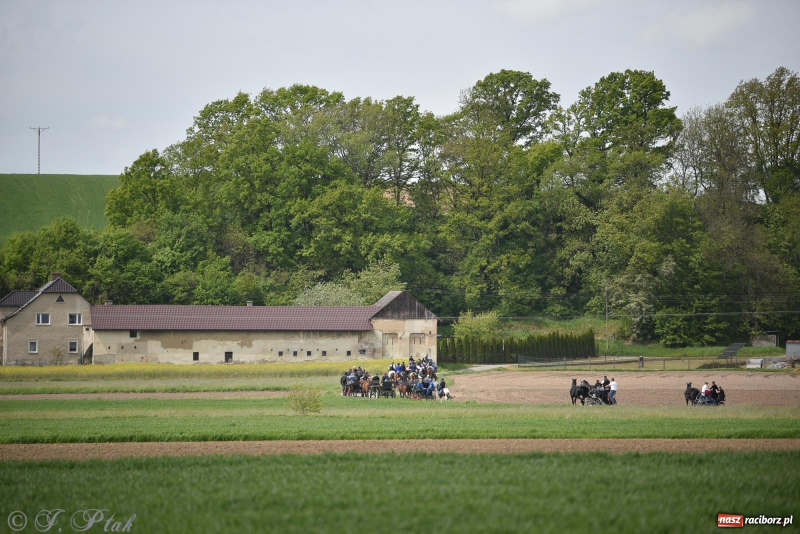 Zdjęcie w galerii na portalu naszraciborz.pl: Łubowicka procesja konna na bis! [FOTO i WIDEO] wiadomości z regionu
