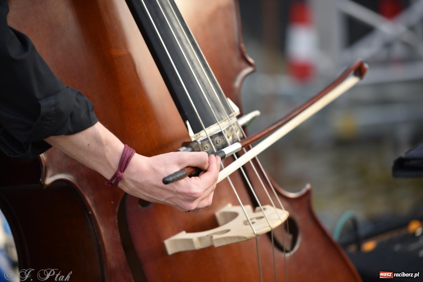 Zdjęcie w galerii na portalu naszraciborz.pl: Plenerowy koncert muzyki filmowej na zamkowym dziedzińcu wiadomości z regionu