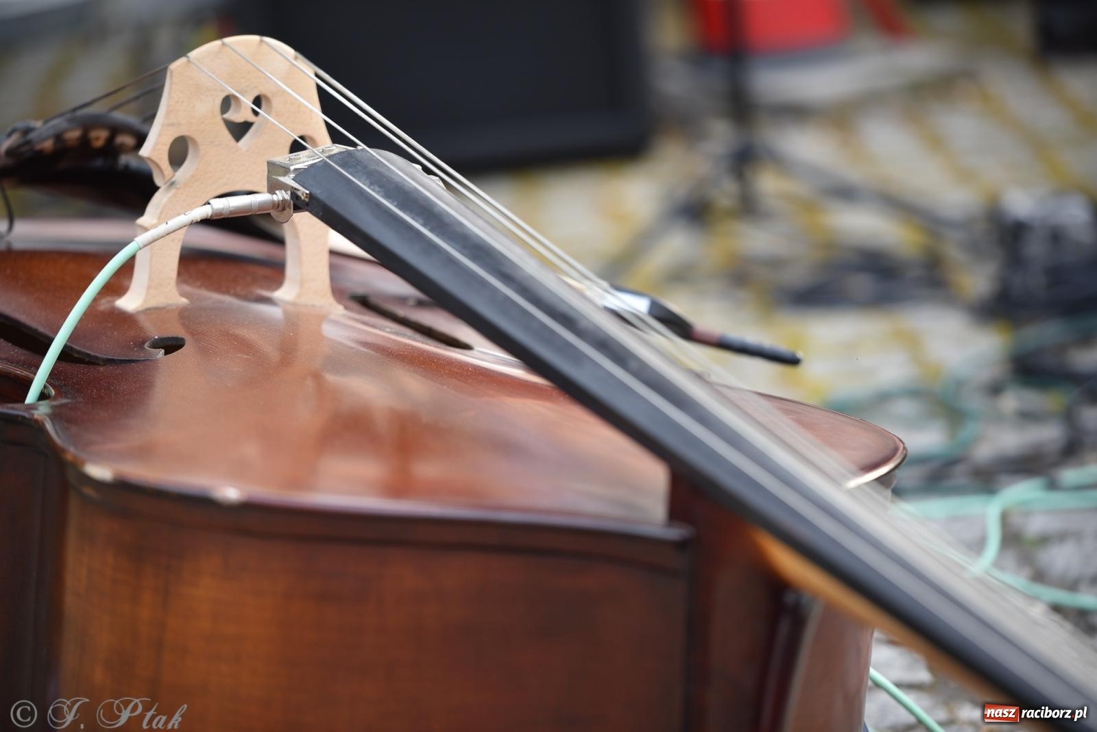 Zdjęcie w galerii na portalu naszraciborz.pl: Plenerowy koncert muzyki filmowej na zamkowym dziedzińcu wiadomości z regionu