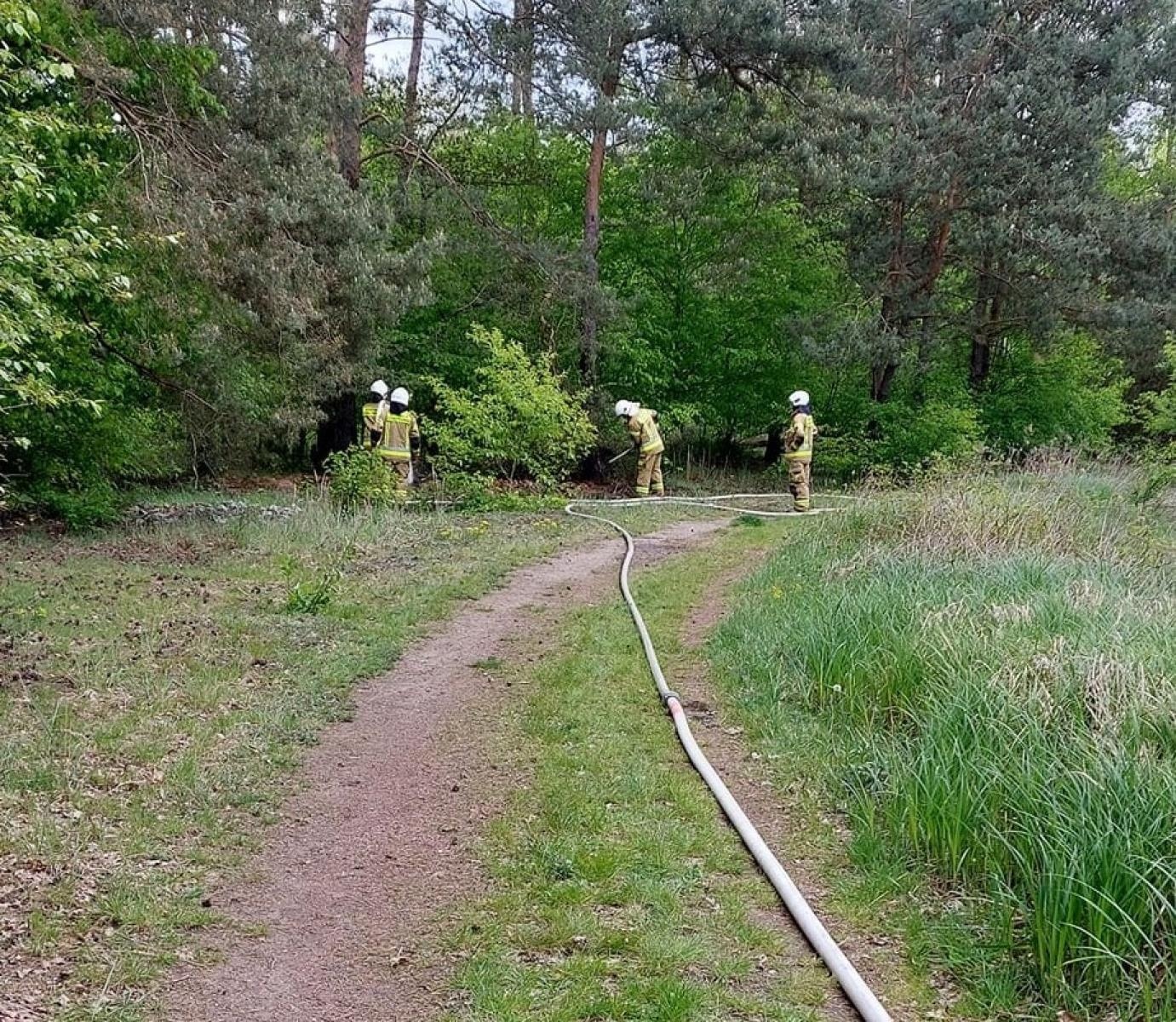 Zdjęcie w galerii na portalu naszraciborz.pl: Pożar trawy w Kuźni Raciborskiej. To dzieło podpalacza [FOTO] wiadomości z regionu