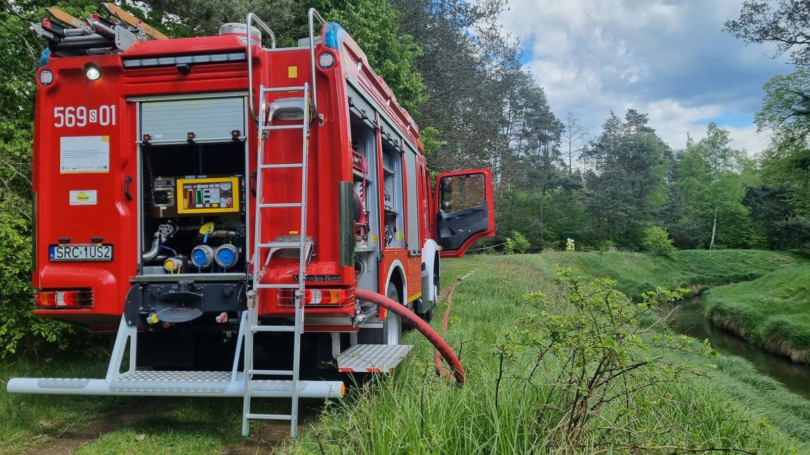 Zdjęcie w galerii na portalu naszraciborz.pl: Pożar trawy w Kuźni Raciborskiej. To dzieło podpalacza [FOTO] wiadomości z regionu