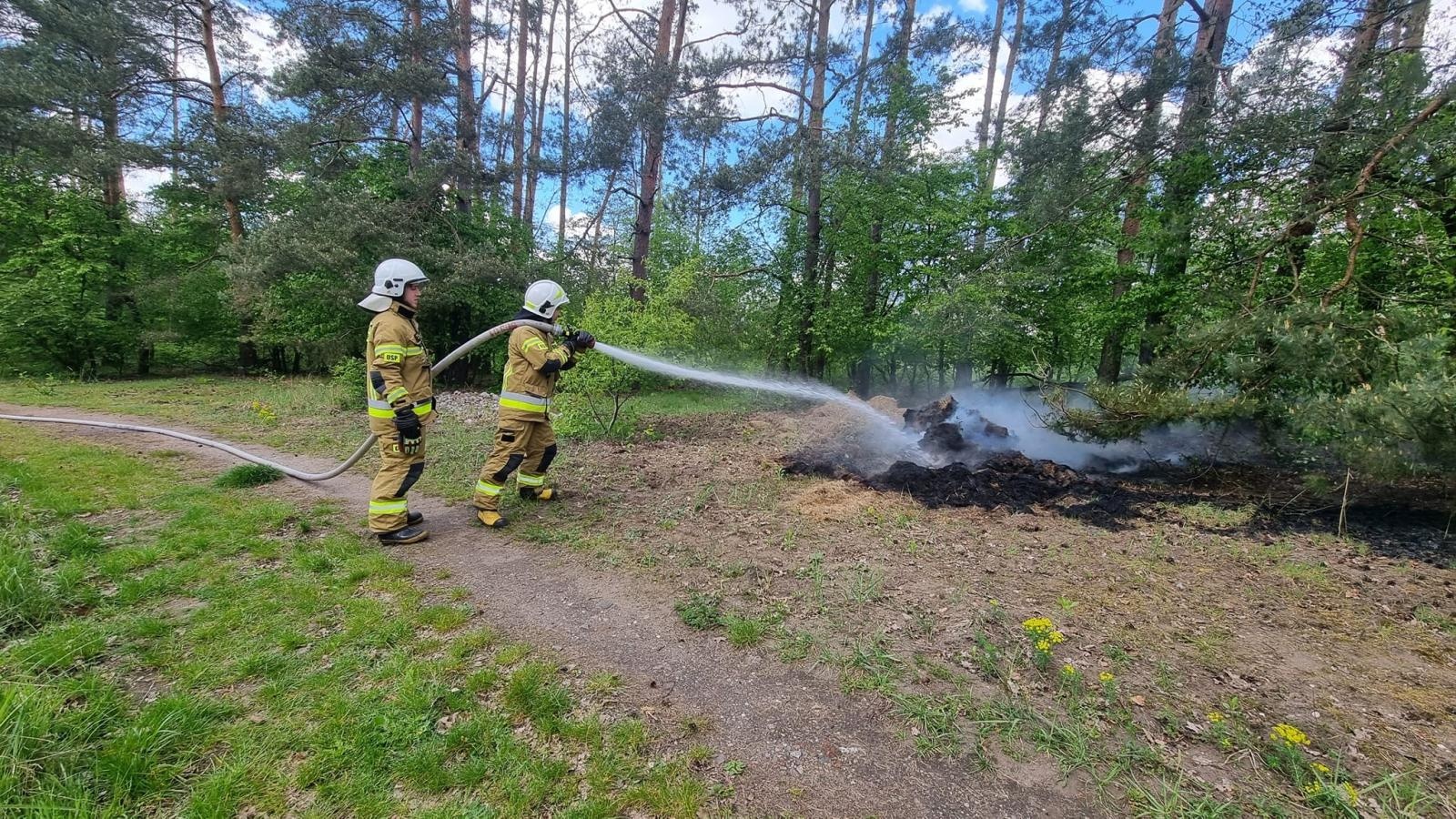 Zdjęcie w galerii na portalu naszraciborz.pl: Pożar trawy w Kuźni Raciborskiej. To dzieło podpalacza [FOTO] wiadomości z regionu