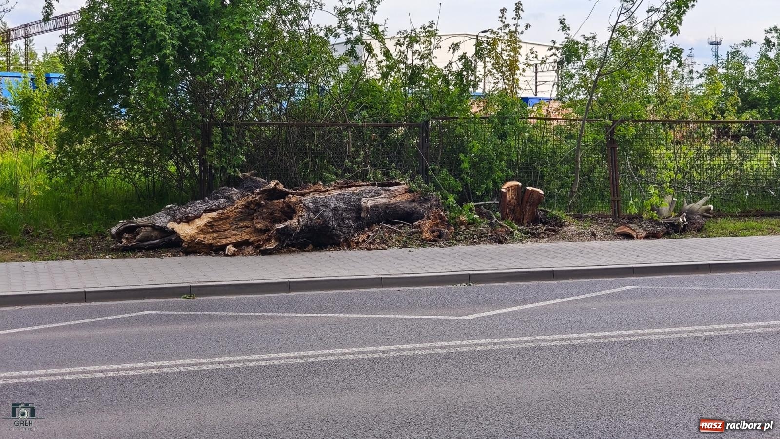 Zdjęcie w galerii na portalu naszraciborz.pl: Raport 998. Powalone drzewo i dwa pożary wiadomości z regionu