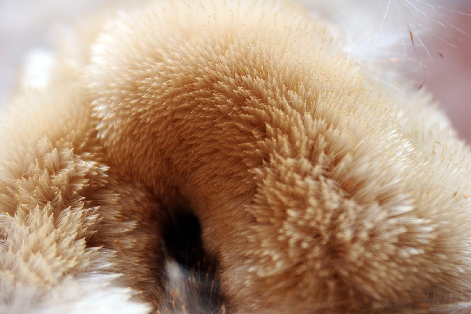 Zdjęcie w galerii na portalu naszraciborz.pl: SPOJRZENIA – już wkrótce nowa wystawa w raciborskiej bibliotece wiadomości z regionu