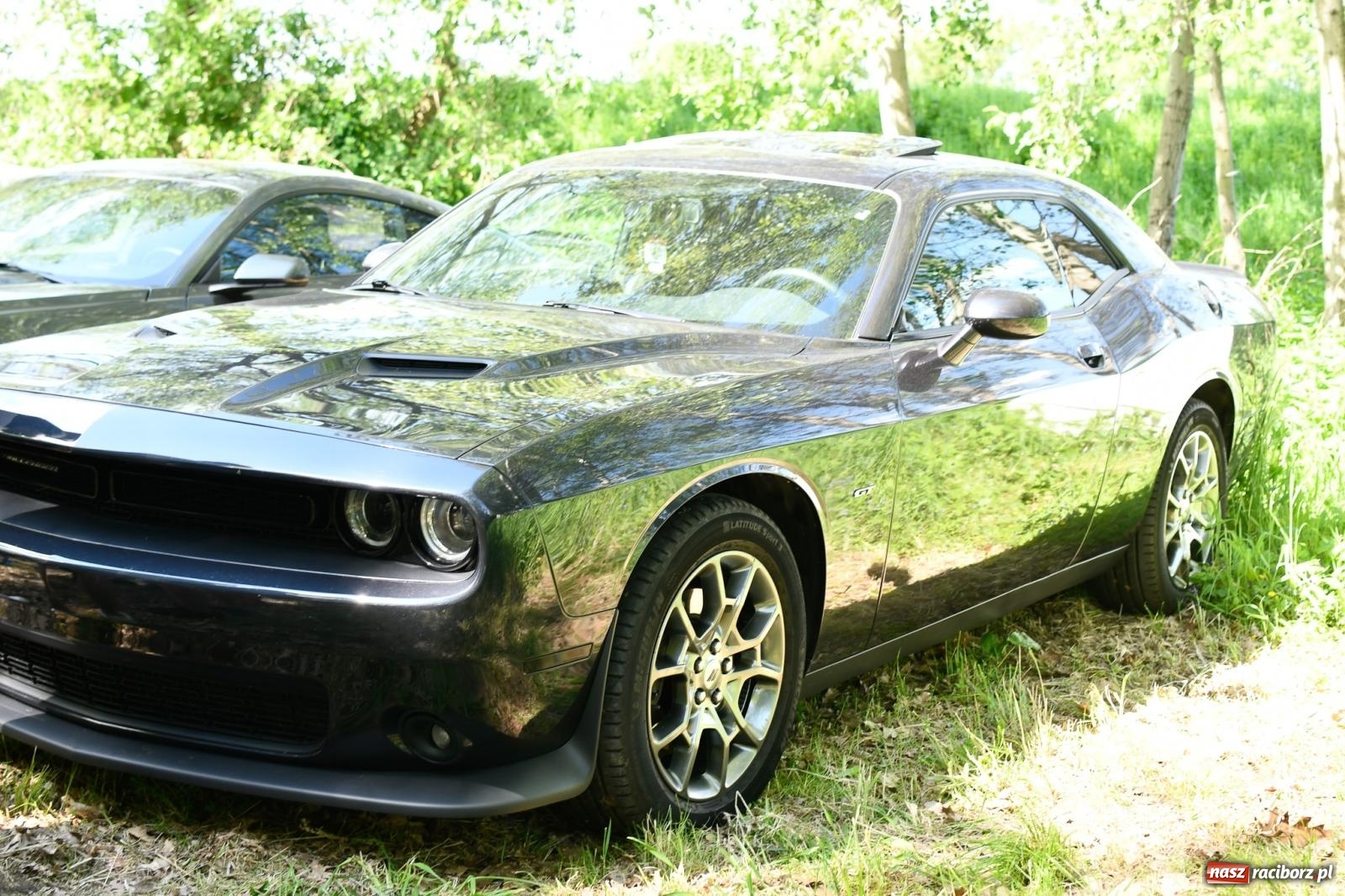 Zdjęcie w galerii na portalu naszraciborz.pl: Tuningowane wozy na Magicznej Plaży w Bukowie [FOTO i WIDEO] wiadomości z regionu