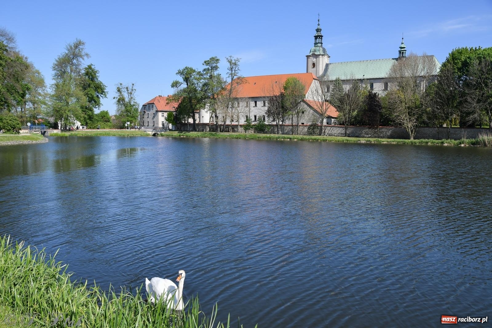 Zdjęcie w galerii na portalu naszraciborz.pl: Diecezjalne Święto Rodziny i XII Jarmark Cysterski w Jemielnicy wiadomości z regionu