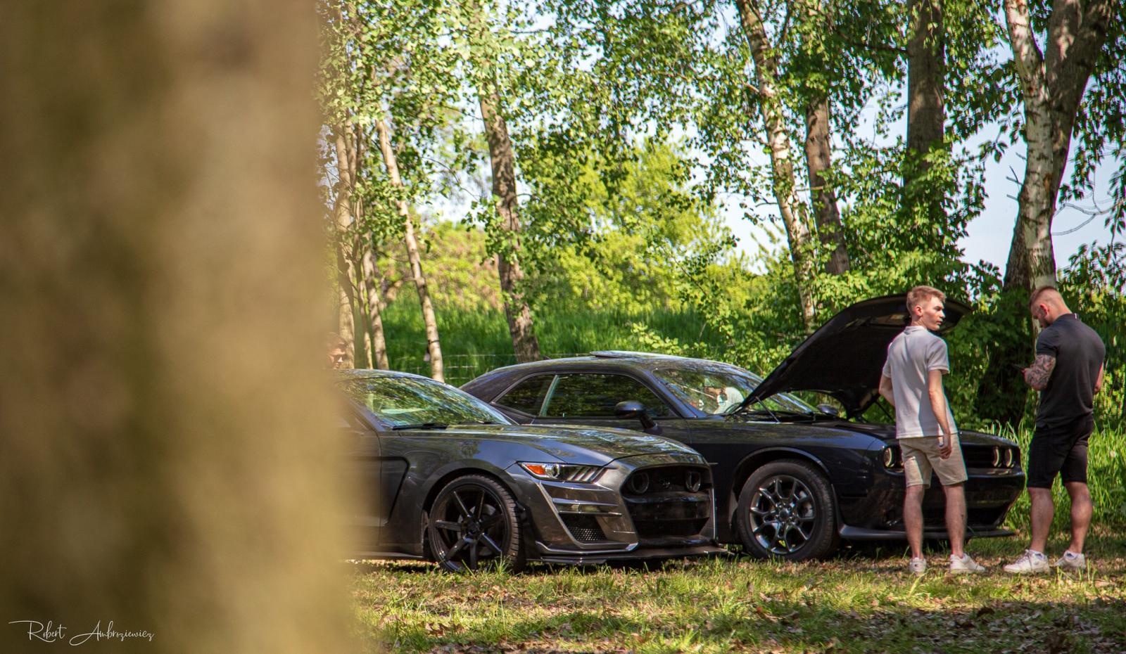 Zdjęcie w galerii na portalu naszraciborz.pl: Petrol Beach - Zlot Samochodów Tuningowanych w Bukowie na bis! [FOTO] wiadomości z regionu