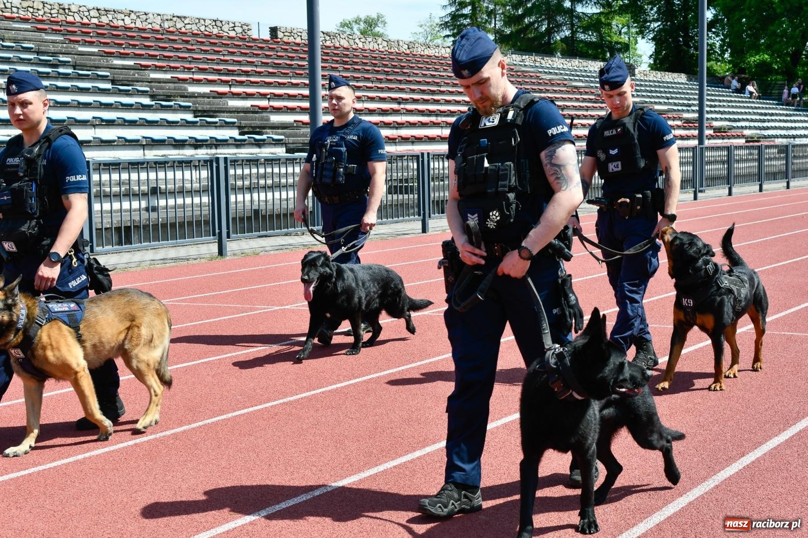 Zdjęcie w galerii na portalu naszraciborz.pl: Policyjna parada na I Memoriale im. asp. Michała Kędzierskiego [FOTO i WIDEO] wiadomości z regionu
