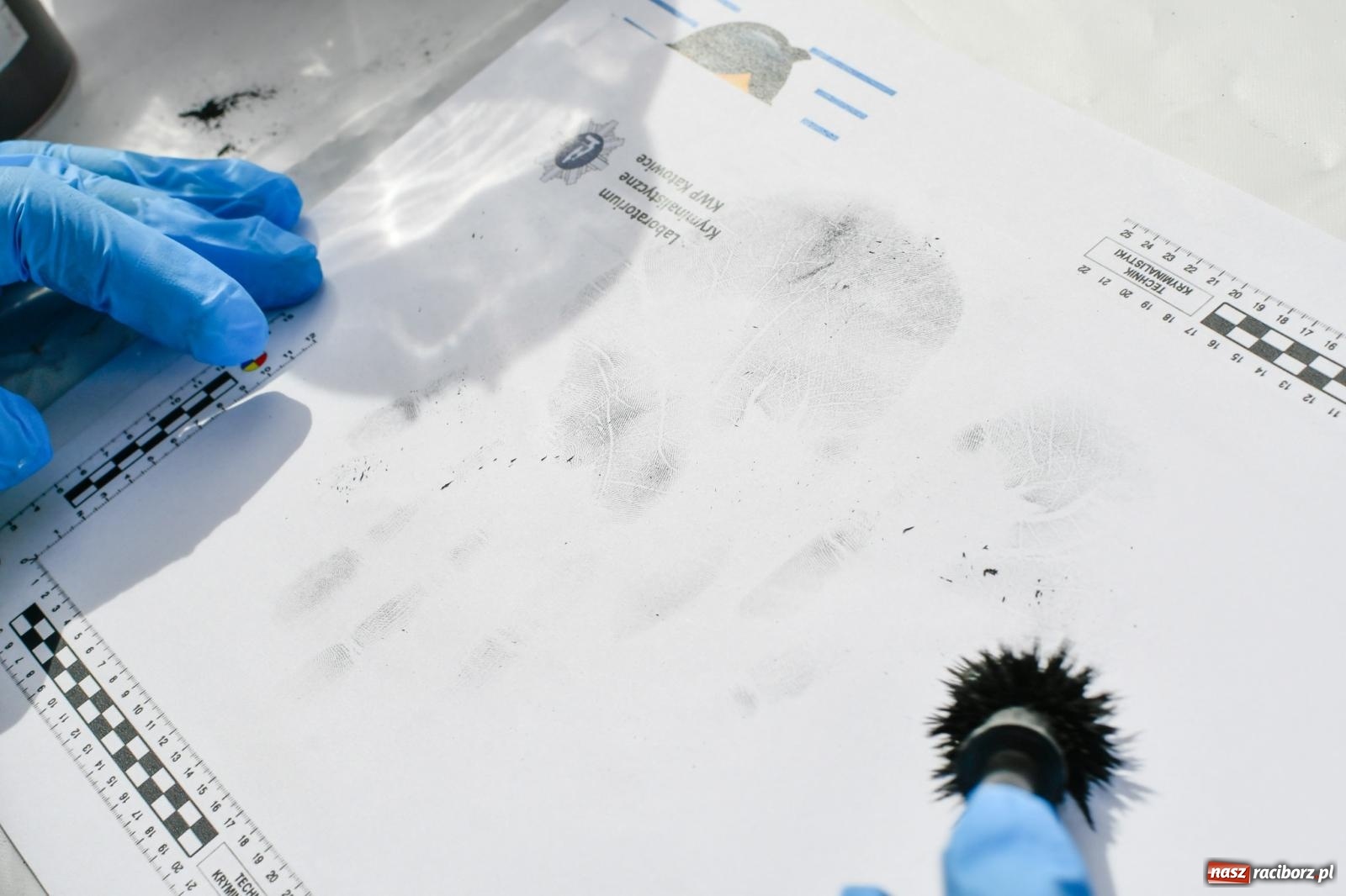 Zdjęcie w galerii na portalu naszraciborz.pl: Policyjna parada na I Memoriale im. asp. Michała Kędzierskiego [FOTO i WIDEO] wiadomości z regionu