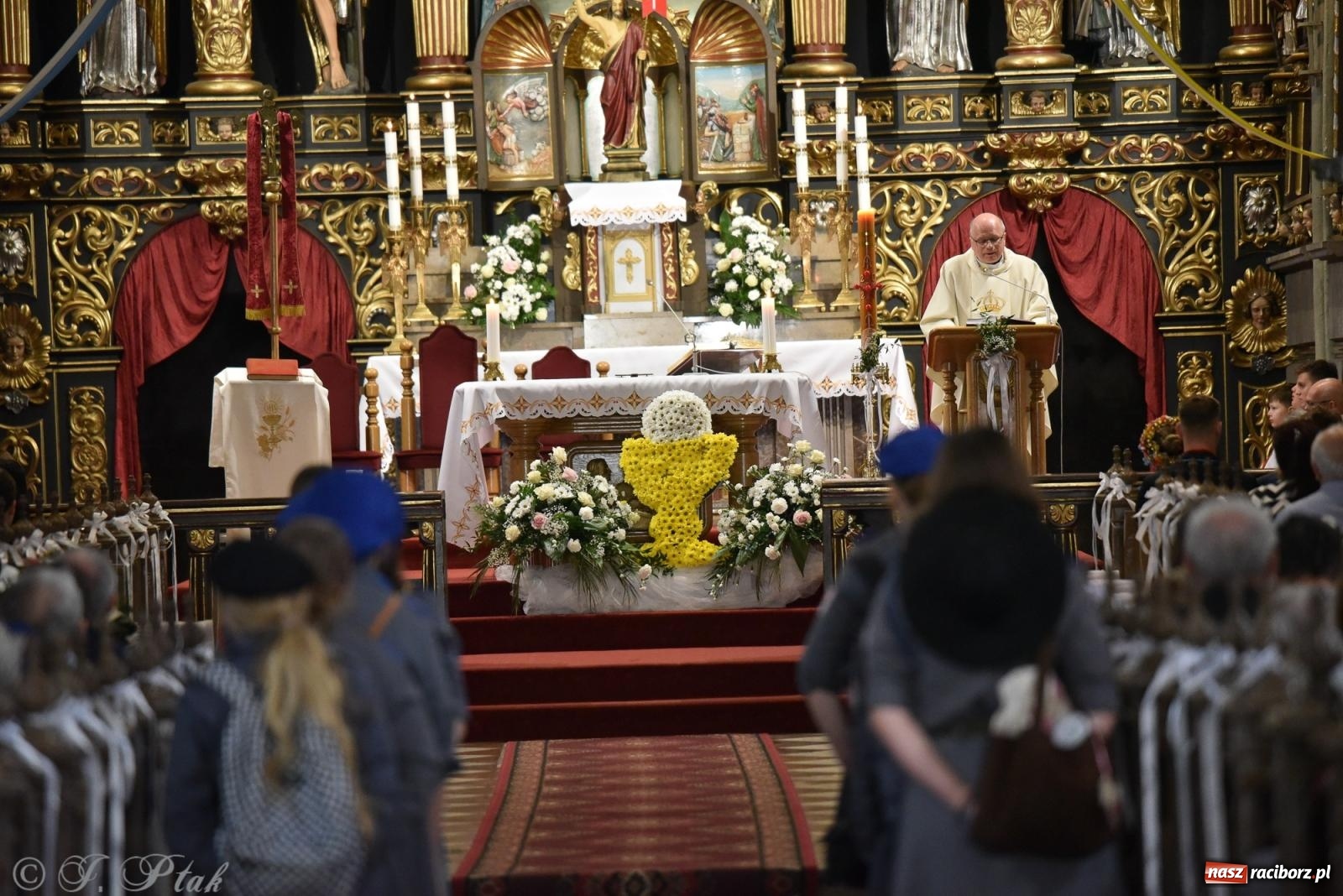 Zdjęcie w galerii na portalu naszraciborz.pl: Radosna patriotyczna majówka w Raciborzu [FOTO i WIDEO] wiadomości z regionu