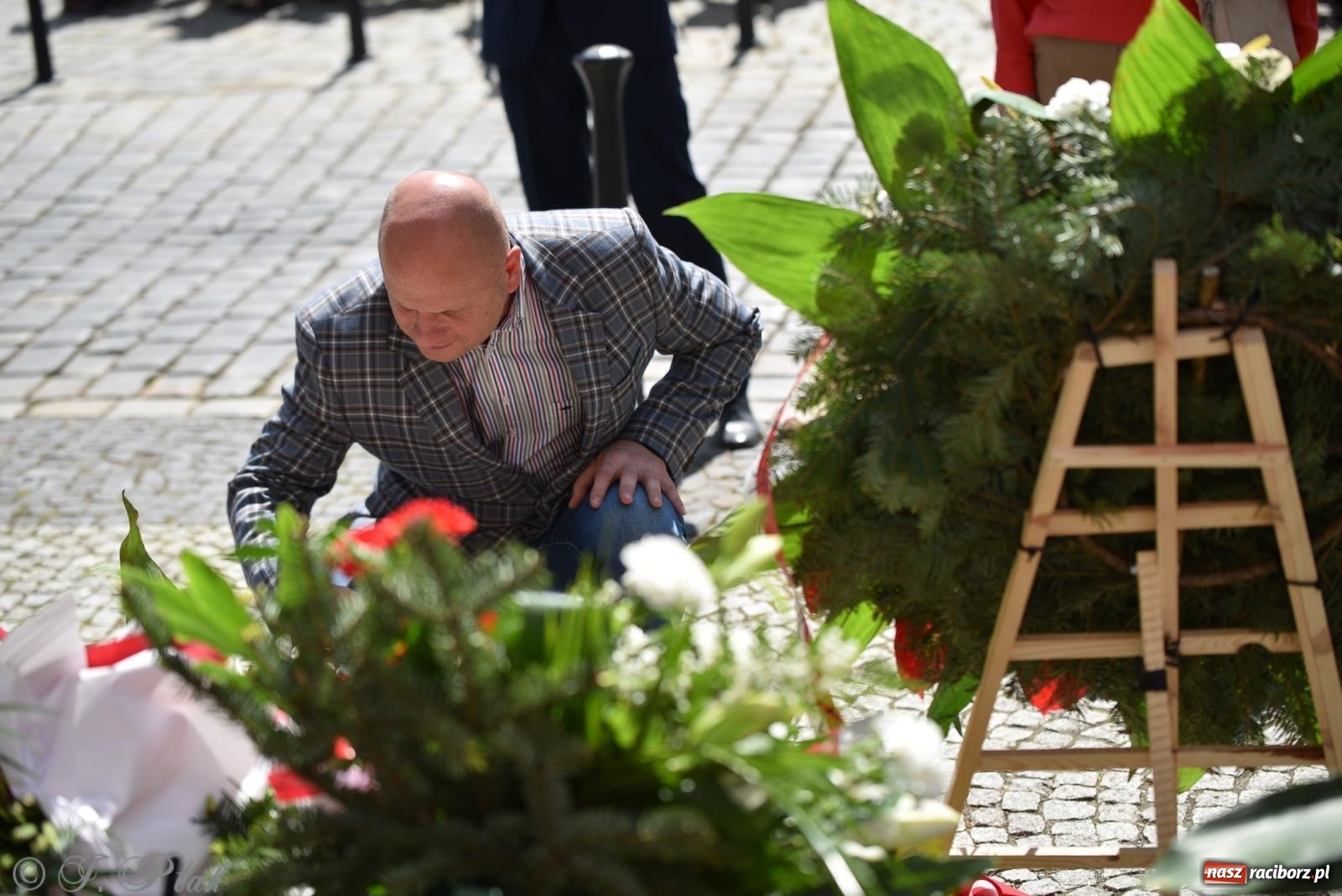 Zdjęcie w galerii na portalu naszraciborz.pl: Radosna patriotyczna majówka w Raciborzu [FOTO i WIDEO] wiadomości z regionu