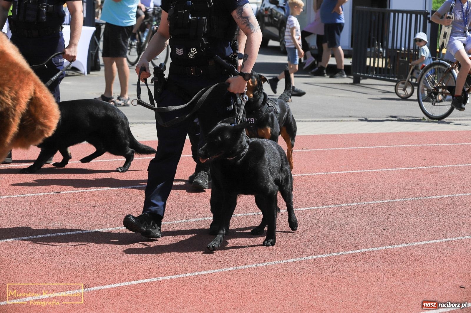 Zdjęcie w galerii na portalu naszraciborz.pl: Policyjny Memoriał i Bieg bez Granic [krótsze dystanse i nordic walking] wiadomości z regionu