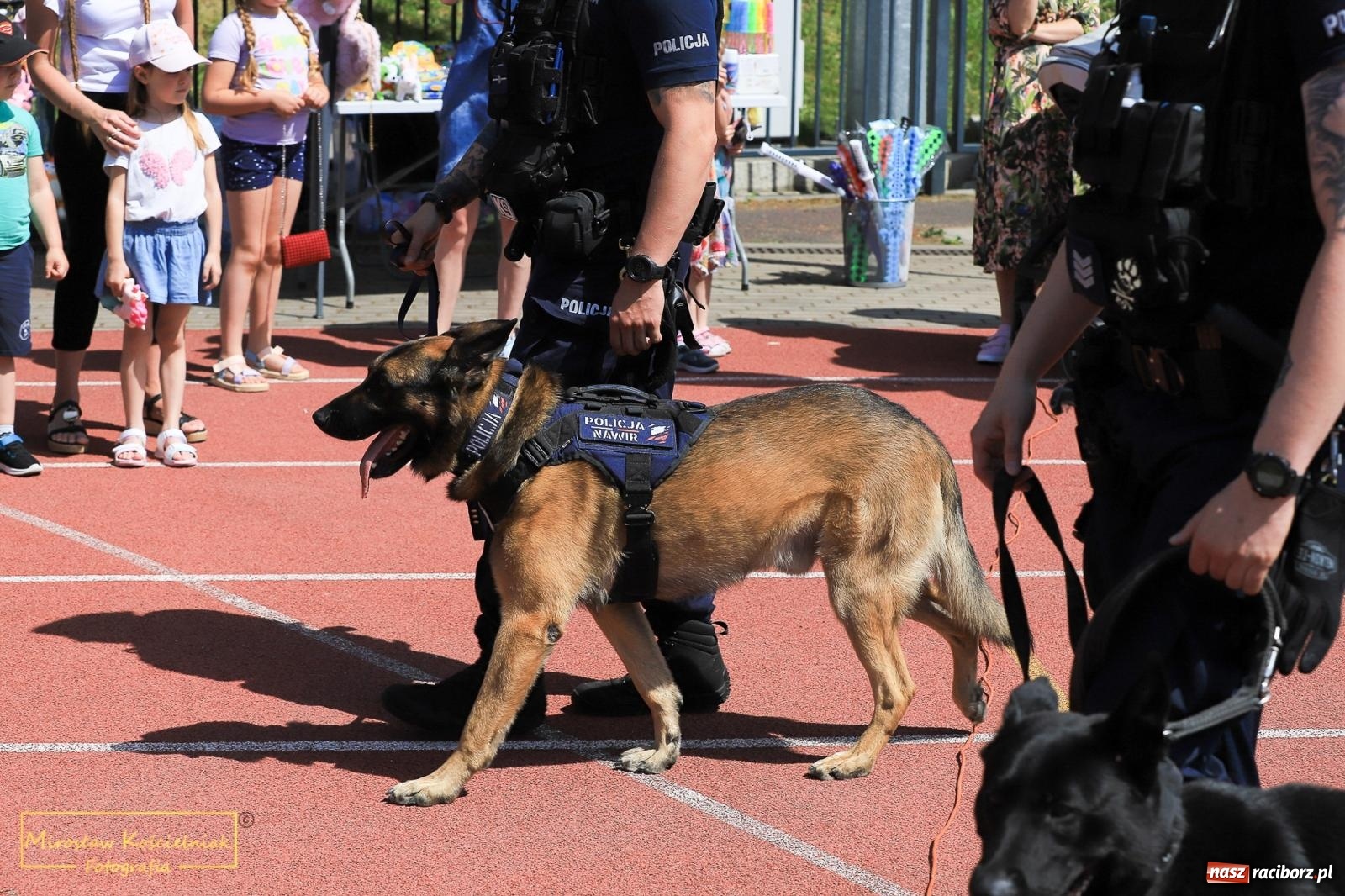 Zdjęcie w galerii na portalu naszraciborz.pl: Policyjny Memoriał i Bieg bez Granic [krótsze dystanse i nordic walking] wiadomości z regionu