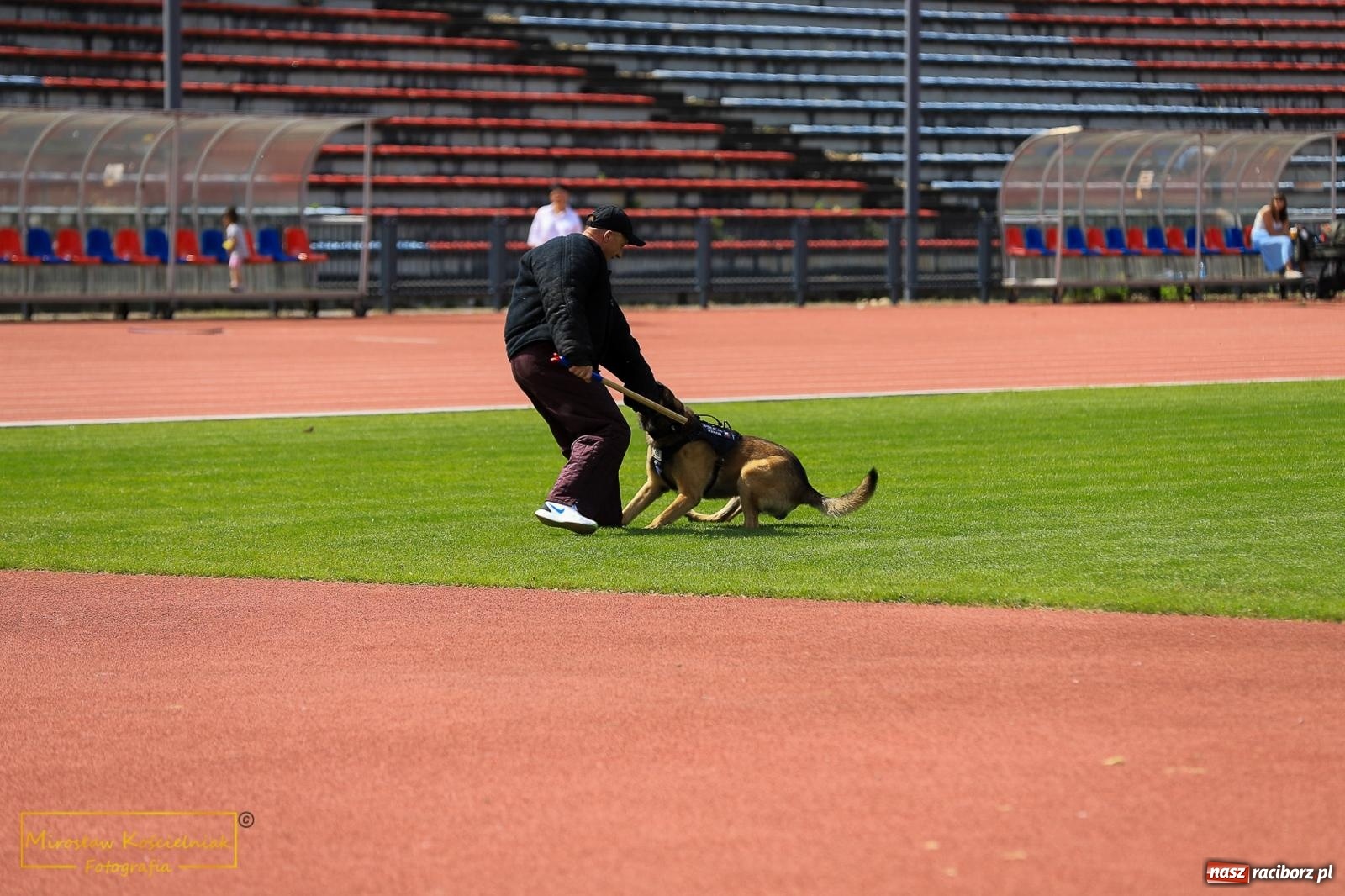 Zdjęcie w galerii na portalu naszraciborz.pl: Policyjny Memoriał i Bieg bez Granic [krótsze dystanse i nordic walking] wiadomości z regionu