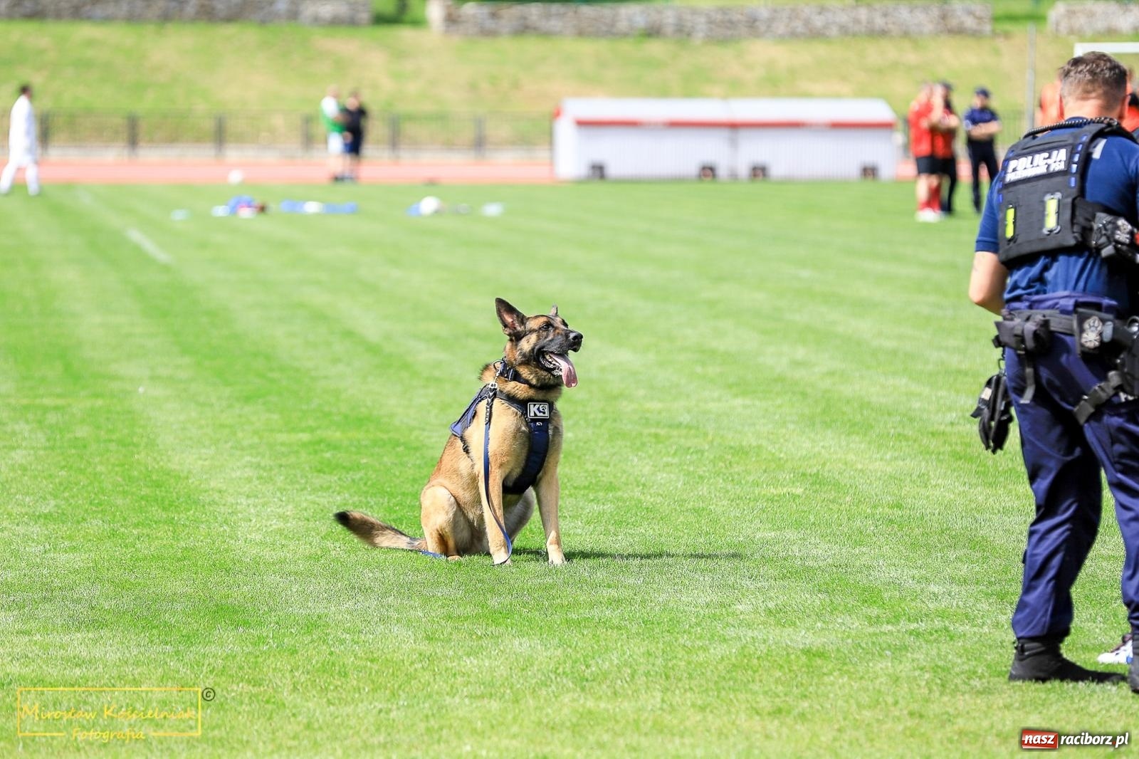 Zdjęcie w galerii na portalu naszraciborz.pl: Policyjny Memoriał i Bieg bez Granic [krótsze dystanse i nordic walking] wiadomości z regionu
