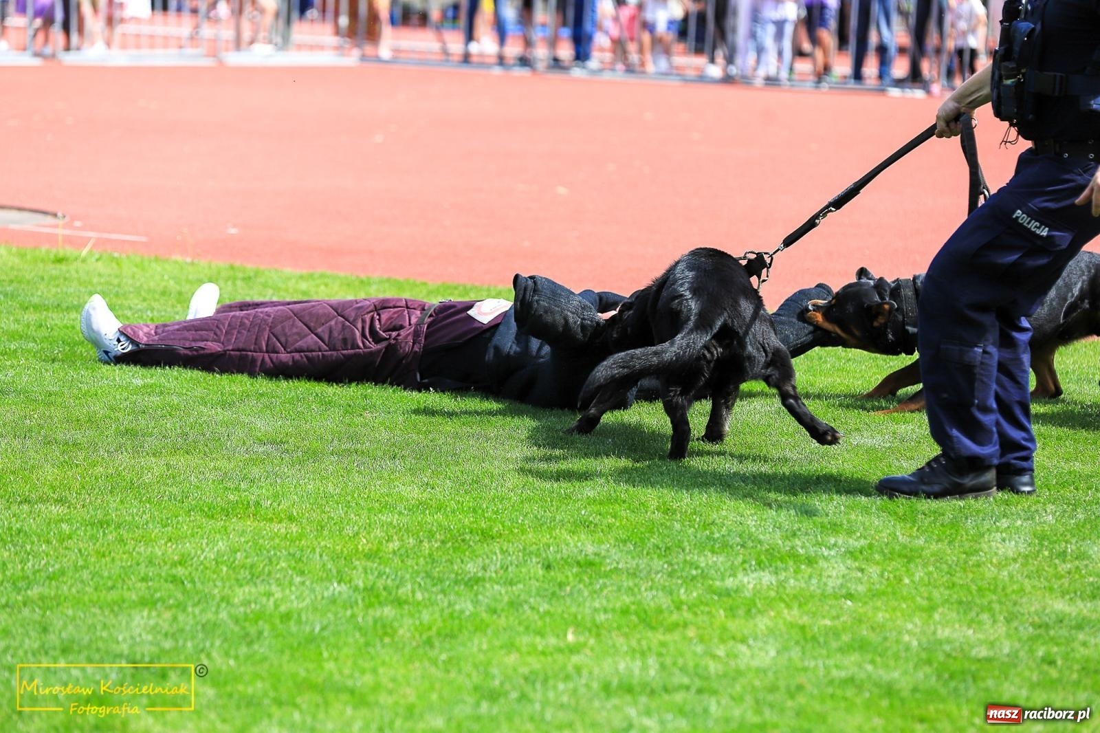 Zdjęcie w galerii na portalu naszraciborz.pl: Policyjny Memoriał i Bieg bez Granic [krótsze dystanse i nordic walking] wiadomości z regionu