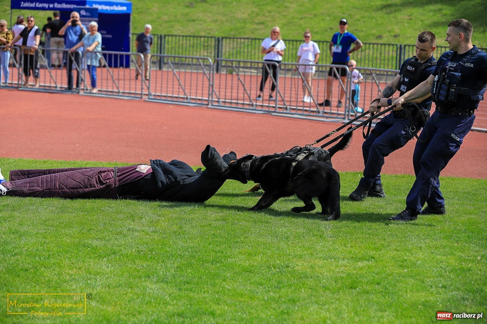 Zdjęcie w galerii na portalu naszraciborz.pl: Policyjny Memoriał i Bieg bez Granic [krótsze dystanse i nordic walking] wiadomości z regionu