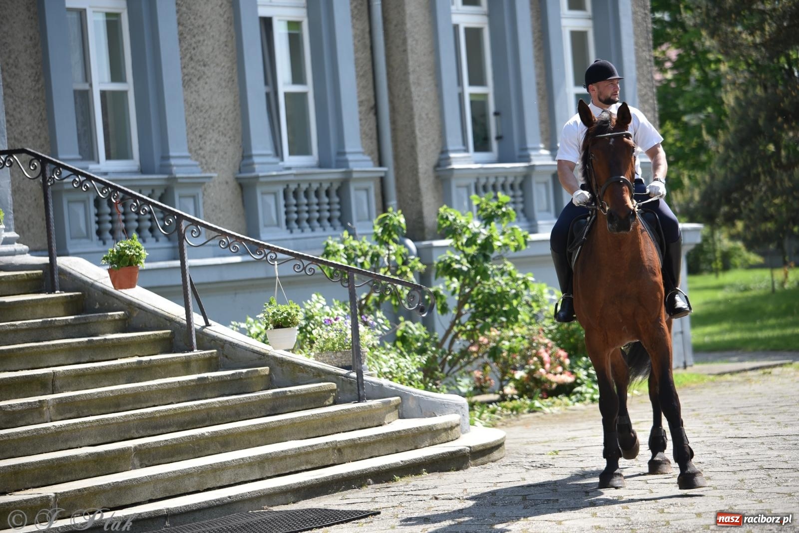 Zdjęcie w galerii na portalu naszraciborz.pl: Na pamiątkę wielkiego gradobicia. 147. procesja w Pogrzebieniu [FOTO i WIDEO] wiadomości z regionu