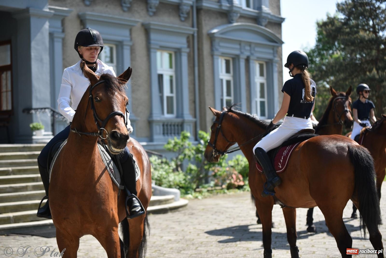 Zdjęcie w galerii na portalu naszraciborz.pl: Na pamiątkę wielkiego gradobicia. 147. procesja w Pogrzebieniu [FOTO i WIDEO] wiadomości z regionu
