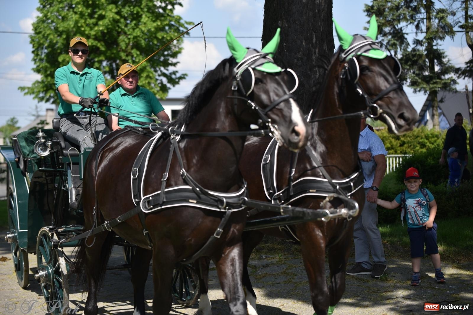 Zdjęcie w galerii na portalu naszraciborz.pl: Na pamiątkę wielkiego gradobicia. 147. procesja w Pogrzebieniu [FOTO i WIDEO] wiadomości z regionu