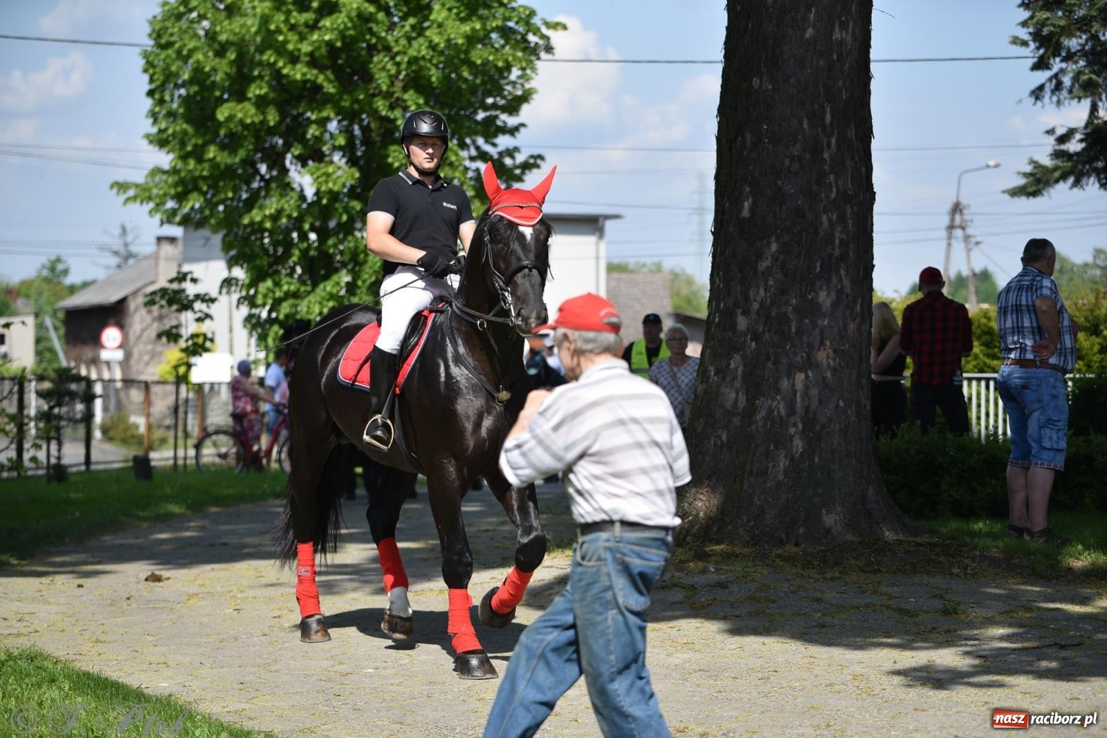 Zdjęcie w galerii na portalu naszraciborz.pl: Na pamiątkę wielkiego gradobicia. 147. procesja w Pogrzebieniu [FOTO i WIDEO] wiadomości z regionu