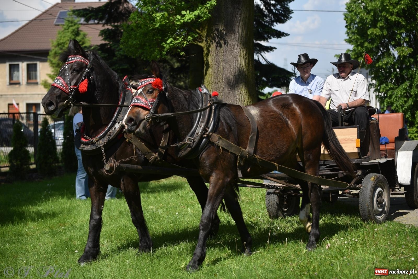 Zdjęcie w galerii na portalu naszraciborz.pl: Na pamiątkę wielkiego gradobicia. 147. procesja w Pogrzebieniu [FOTO i WIDEO] wiadomości z regionu