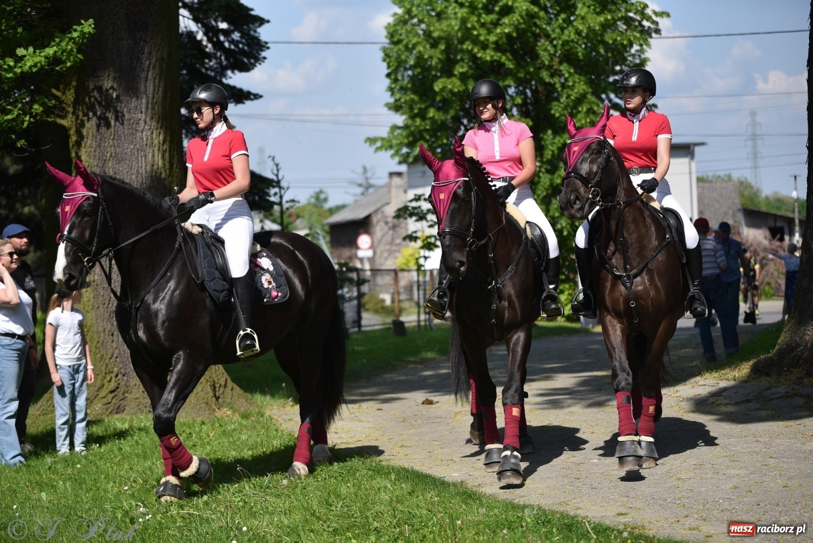 Zdjęcie w galerii na portalu naszraciborz.pl: Na pamiątkę wielkiego gradobicia. 147. procesja w Pogrzebieniu [FOTO i WIDEO] wiadomości z regionu