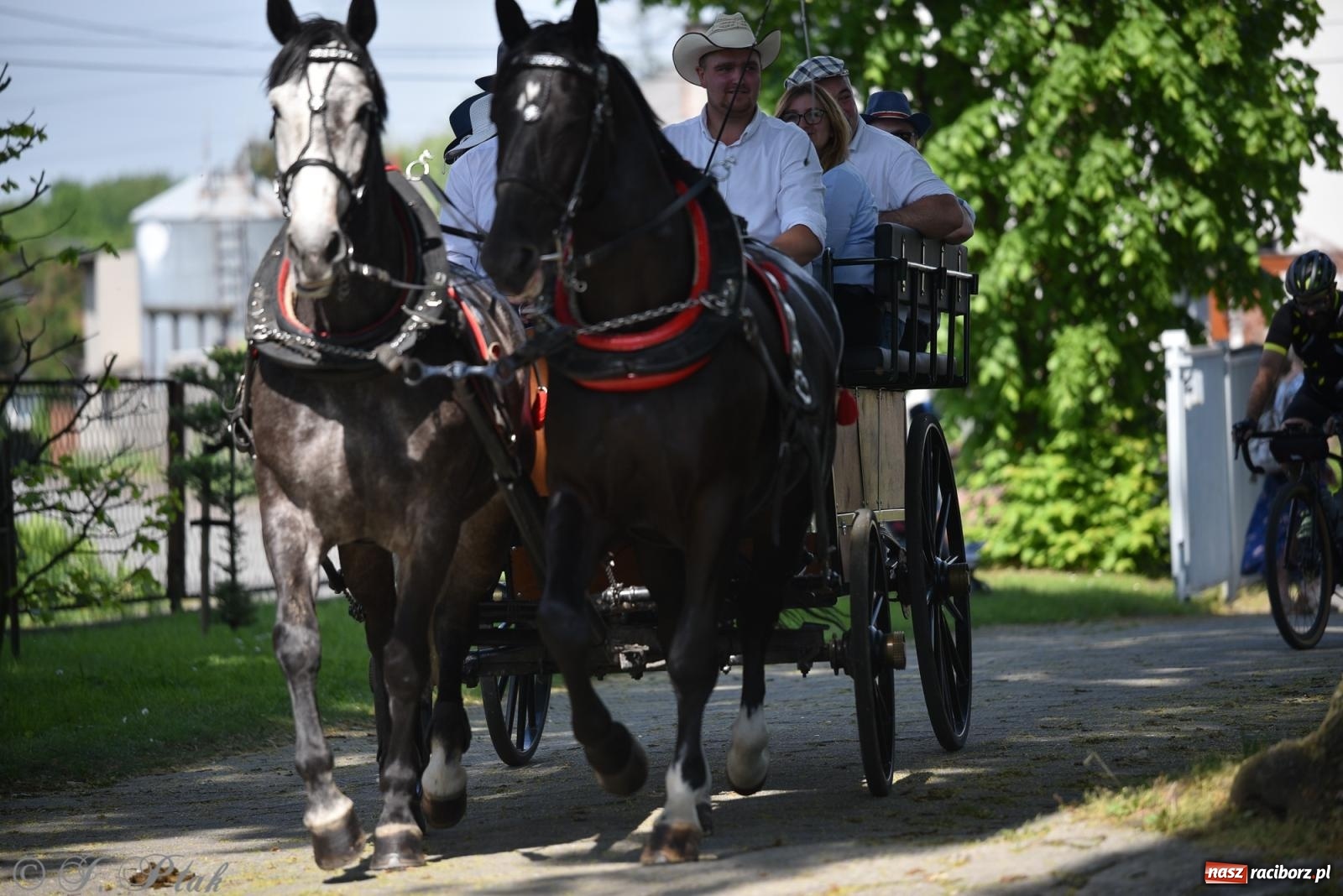 Zdjęcie w galerii na portalu naszraciborz.pl: Na pamiątkę wielkiego gradobicia. 147. procesja w Pogrzebieniu [FOTO i WIDEO] wiadomości z regionu