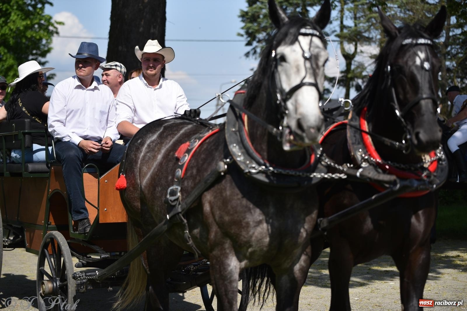Zdjęcie w galerii na portalu naszraciborz.pl: Na pamiątkę wielkiego gradobicia. 147. procesja w Pogrzebieniu [FOTO i WIDEO] wiadomości z regionu