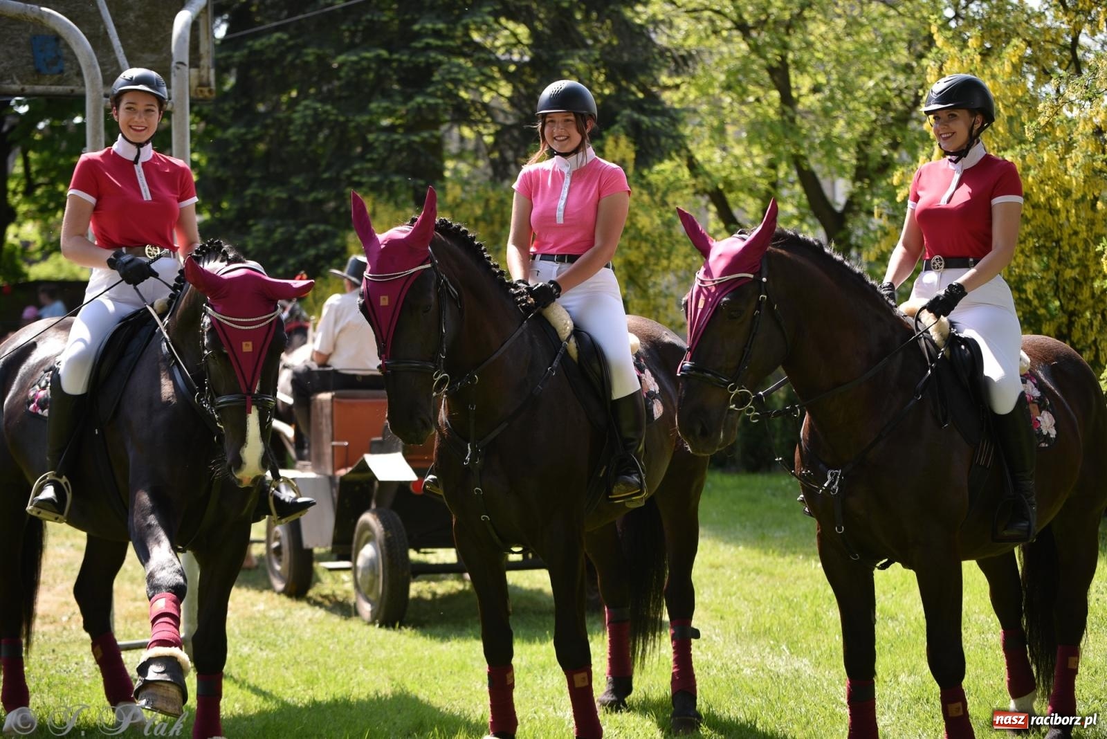 Zdjęcie w galerii na portalu naszraciborz.pl: Na pamiątkę wielkiego gradobicia. 147. procesja w Pogrzebieniu [FOTO i WIDEO] wiadomości z regionu