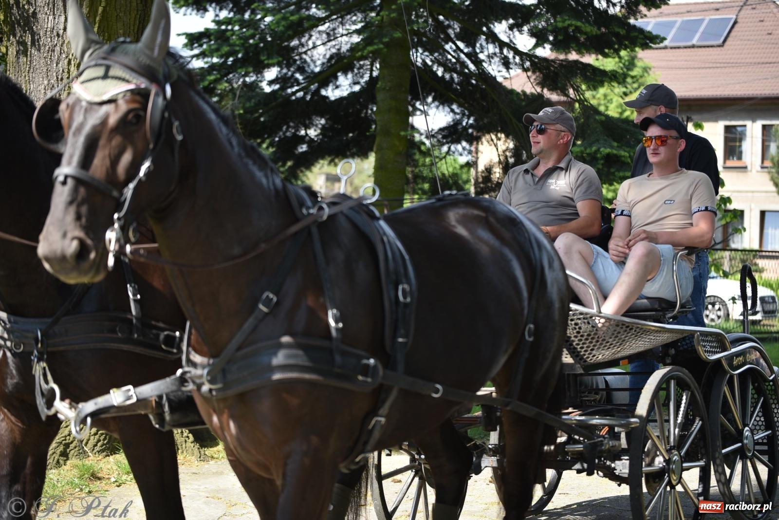 Zdjęcie w galerii na portalu naszraciborz.pl: Na pamiątkę wielkiego gradobicia. 147. procesja w Pogrzebieniu [FOTO i WIDEO] wiadomości z regionu