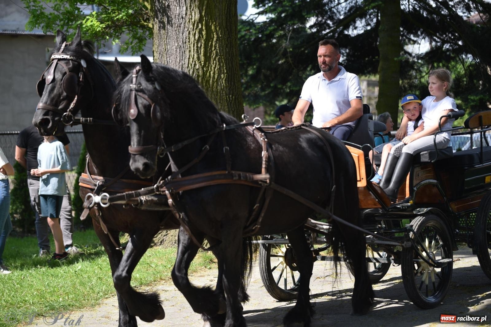 Zdjęcie w galerii na portalu naszraciborz.pl: Na pamiątkę wielkiego gradobicia. 147. procesja w Pogrzebieniu [FOTO i WIDEO] wiadomości z regionu