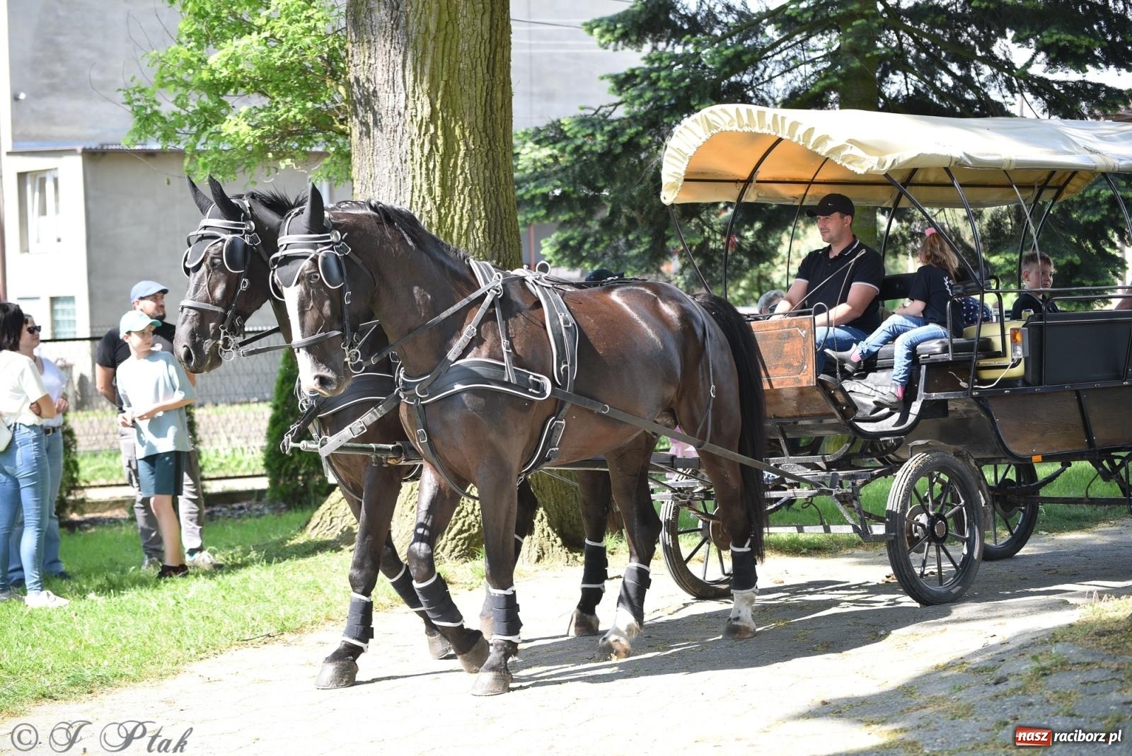 Zdjęcie w galerii na portalu naszraciborz.pl: Na pamiątkę wielkiego gradobicia. 147. procesja w Pogrzebieniu [FOTO i WIDEO] wiadomości z regionu
