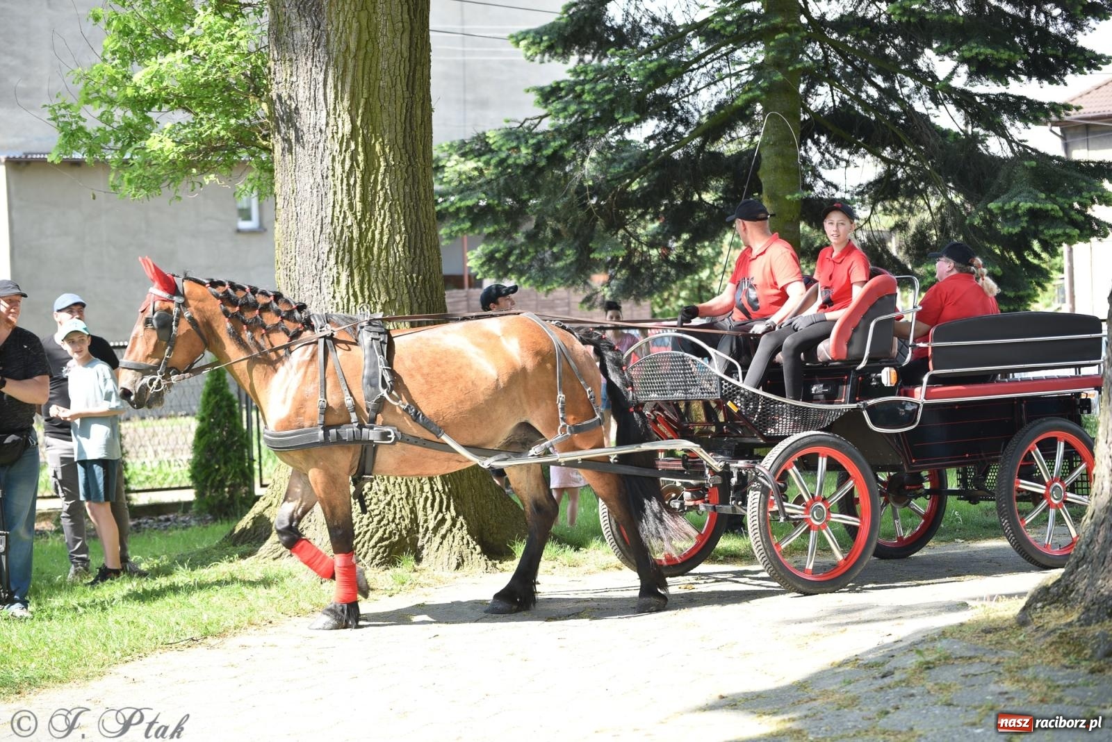 Zdjęcie w galerii na portalu naszraciborz.pl: Na pamiątkę wielkiego gradobicia. 147. procesja w Pogrzebieniu [FOTO i WIDEO] wiadomości z regionu
