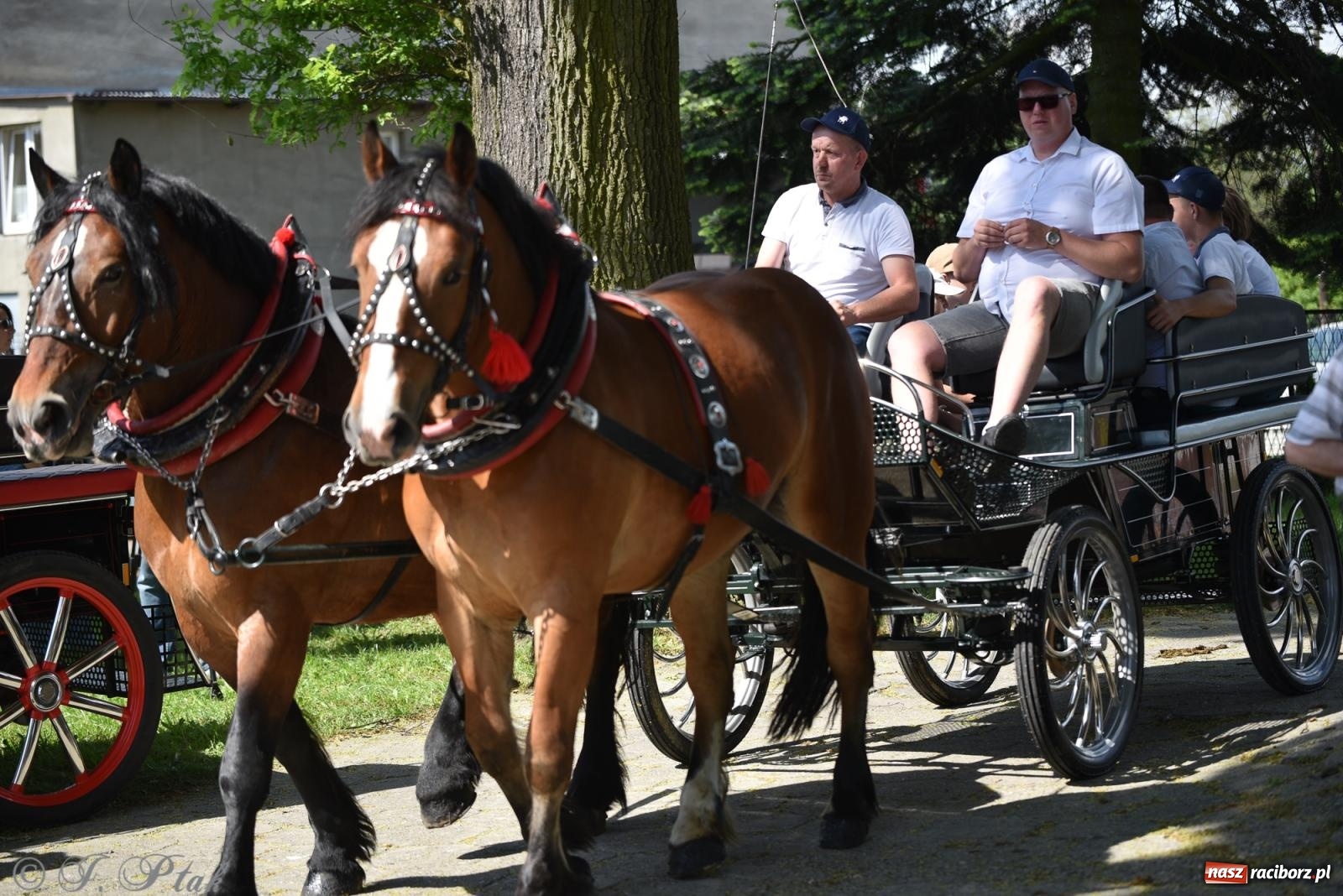 Zdjęcie w galerii na portalu naszraciborz.pl: Na pamiątkę wielkiego gradobicia. 147. procesja w Pogrzebieniu [FOTO i WIDEO] wiadomości z regionu