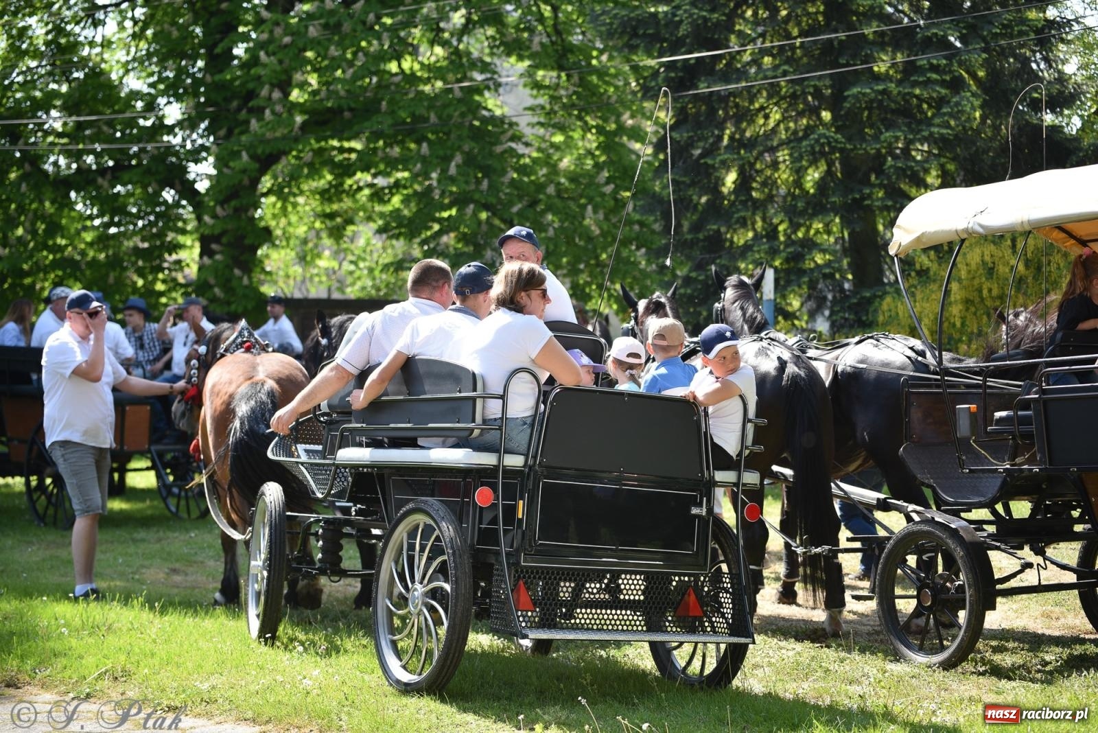 Zdjęcie w galerii na portalu naszraciborz.pl: Na pamiątkę wielkiego gradobicia. 147. procesja w Pogrzebieniu [FOTO i WIDEO] wiadomości z regionu